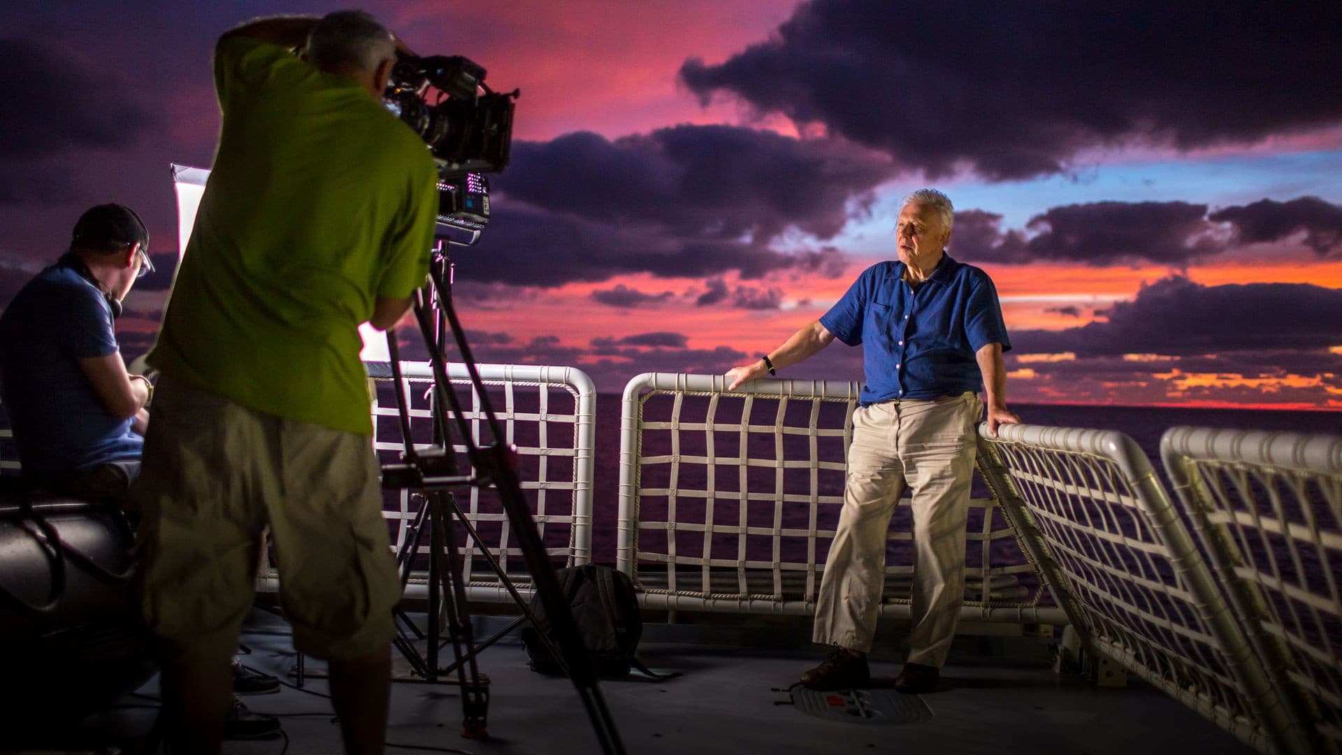 Attenborough at 90: Behind the Lens backdrop