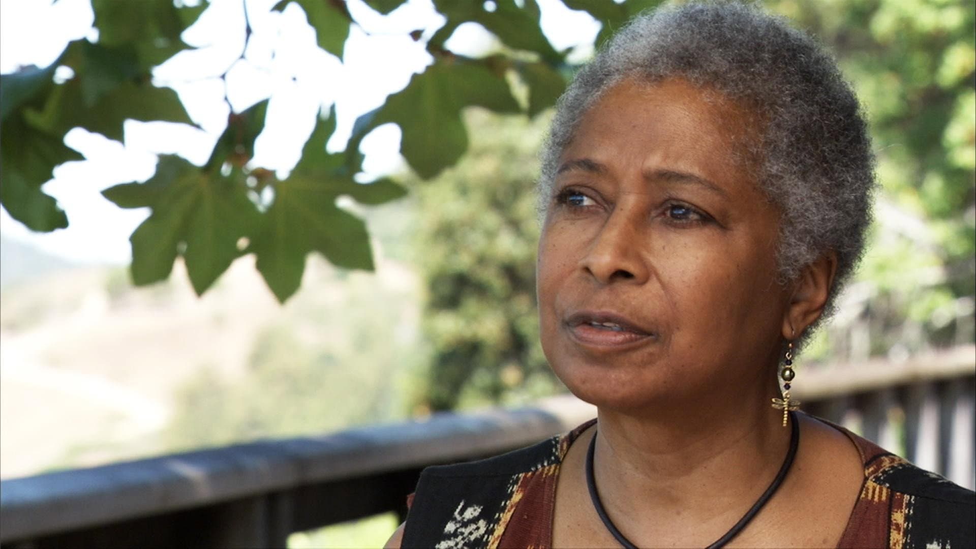 Alice Walker: Beauty in Truth backdrop
