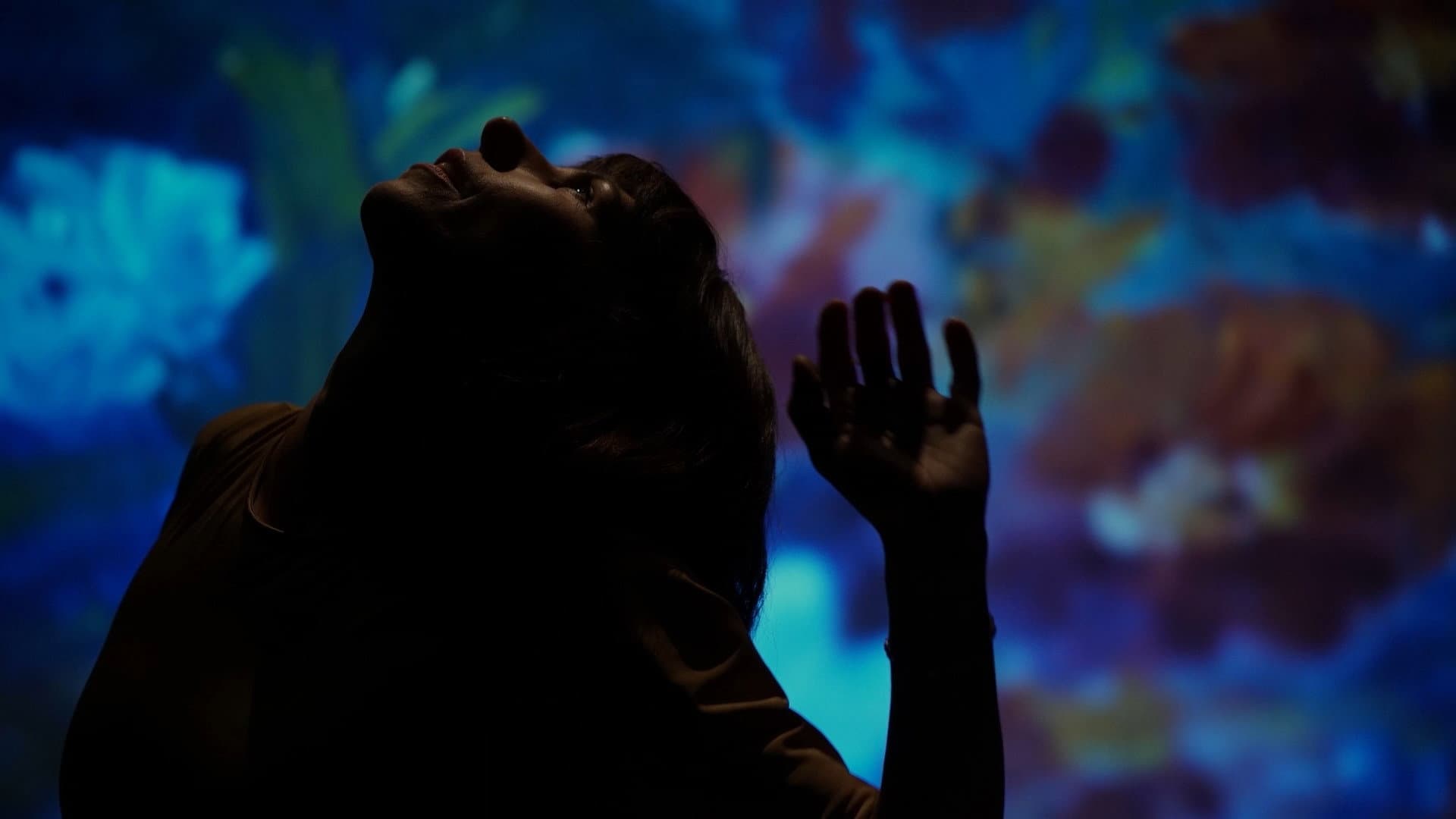 Still Nature backdrop