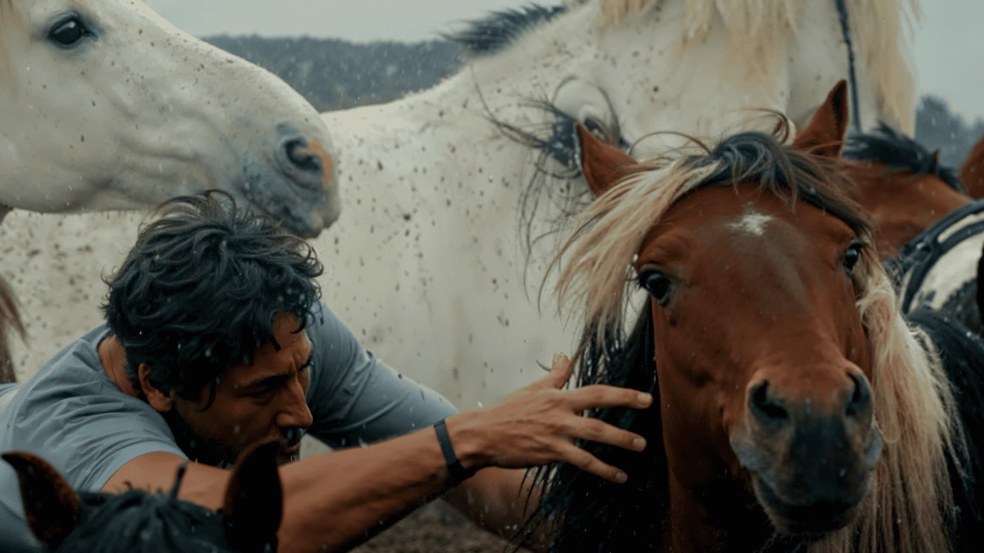 Children of the Wind backdrop