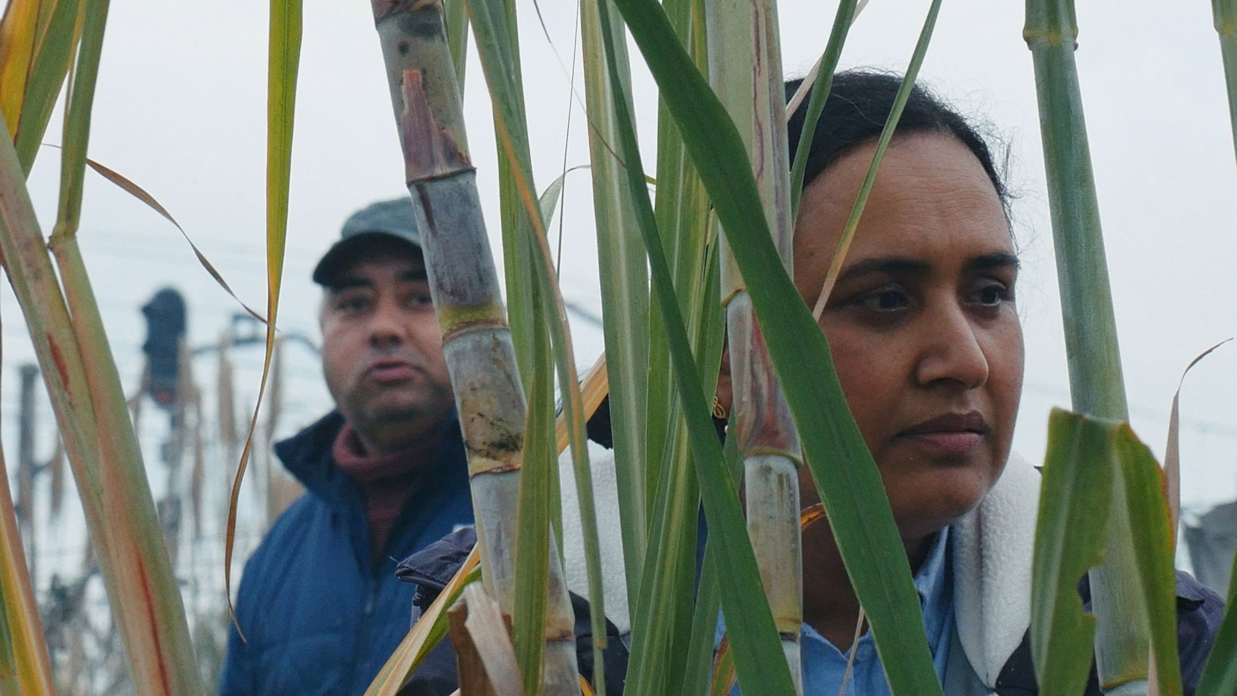 Good Valley Stories backdrop