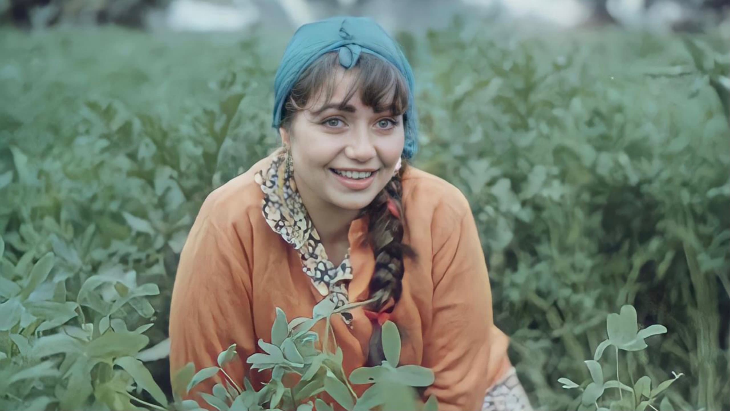 Missing Person backdrop