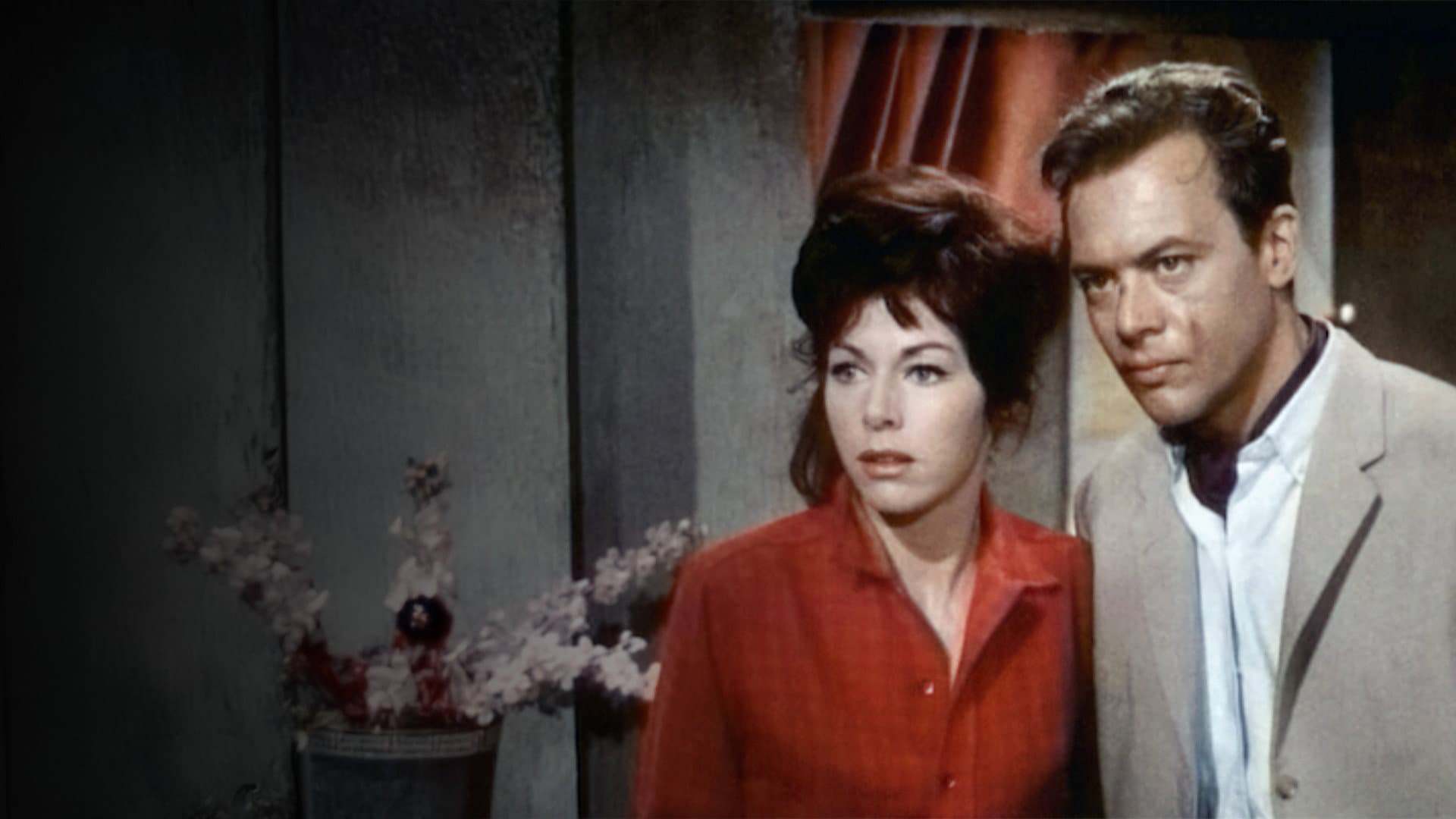 Hong Kong Hot Harbor backdrop