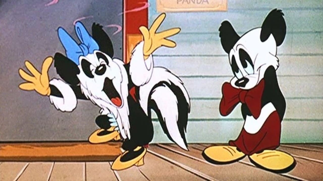 Scrappy Birthday backdrop