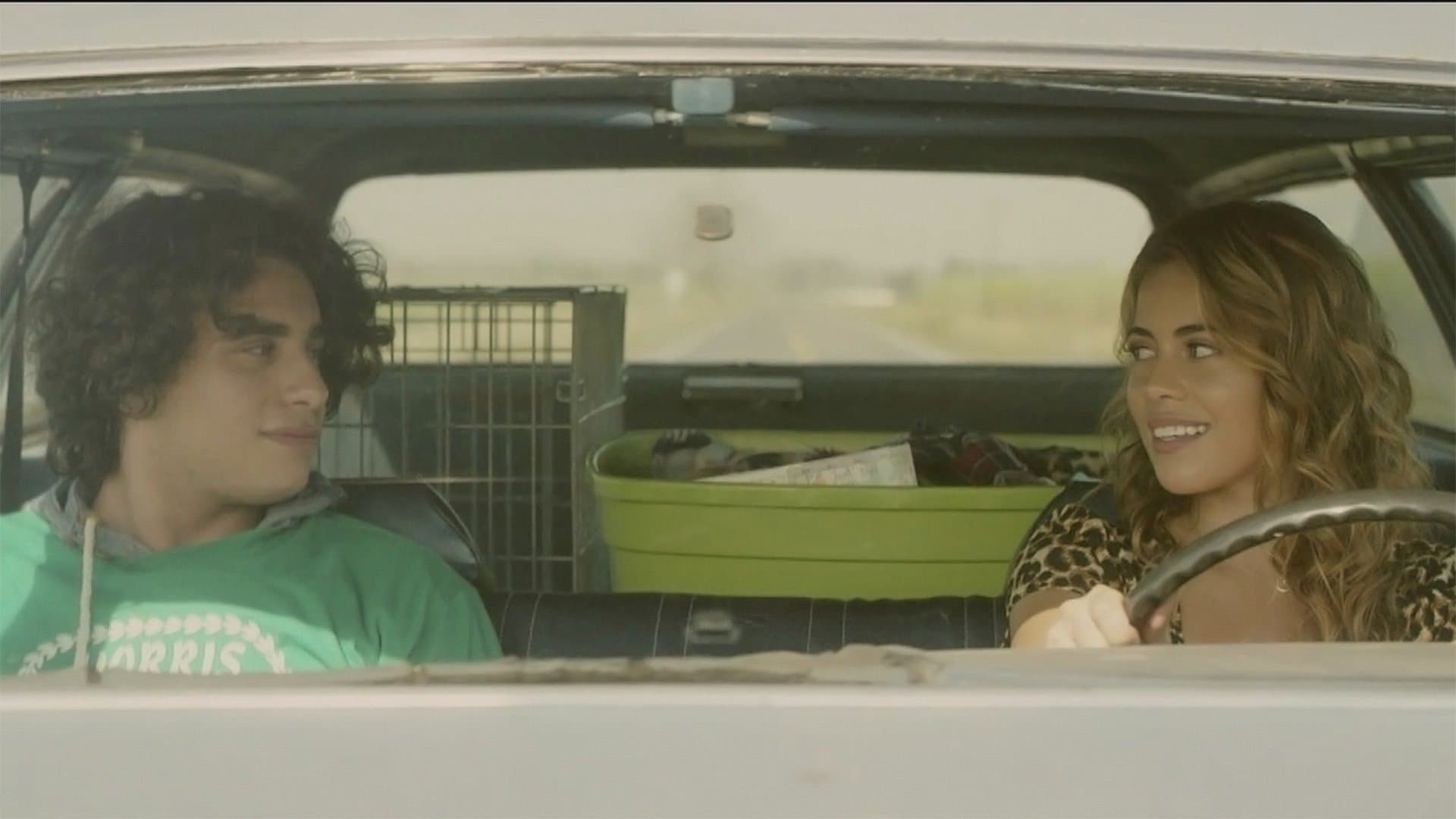 Eat Brains Love backdrop