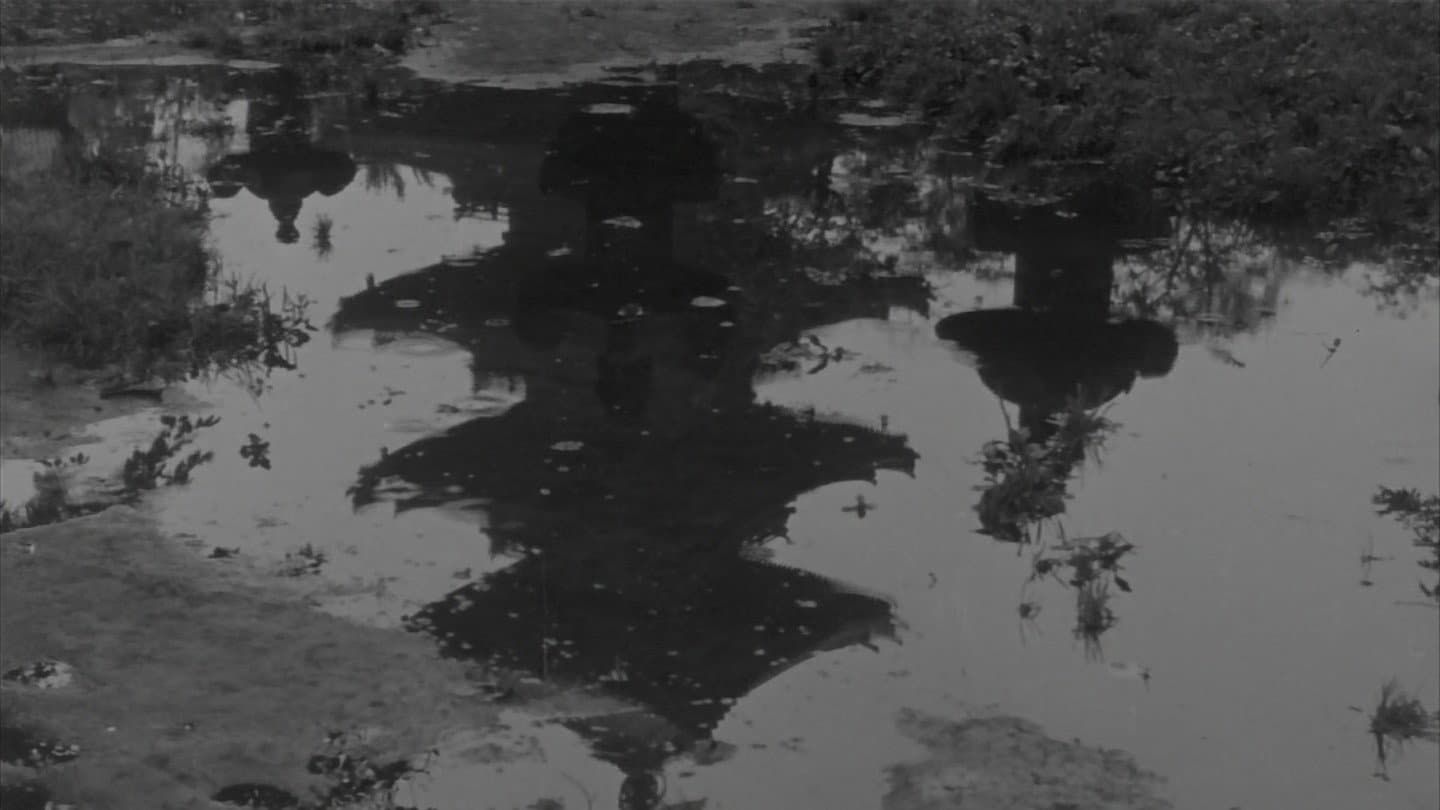 The Wild Geese backdrop