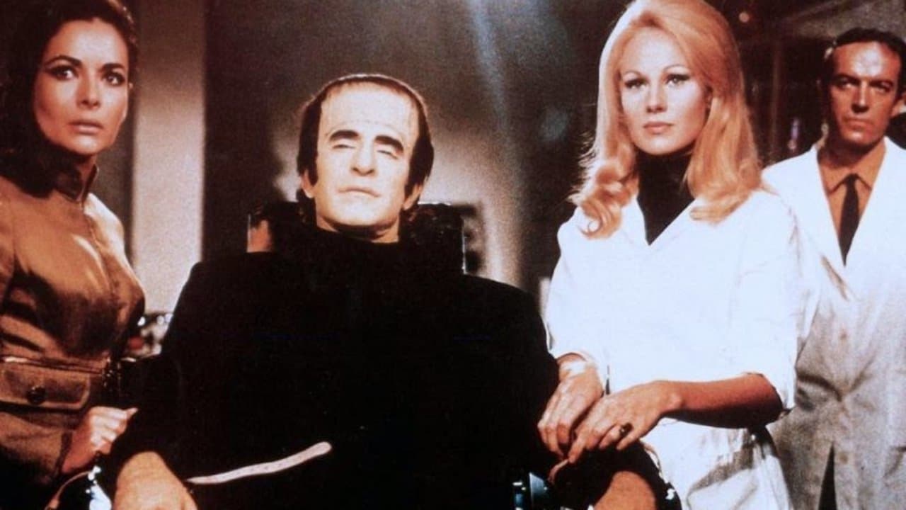 Assignment Terror backdrop