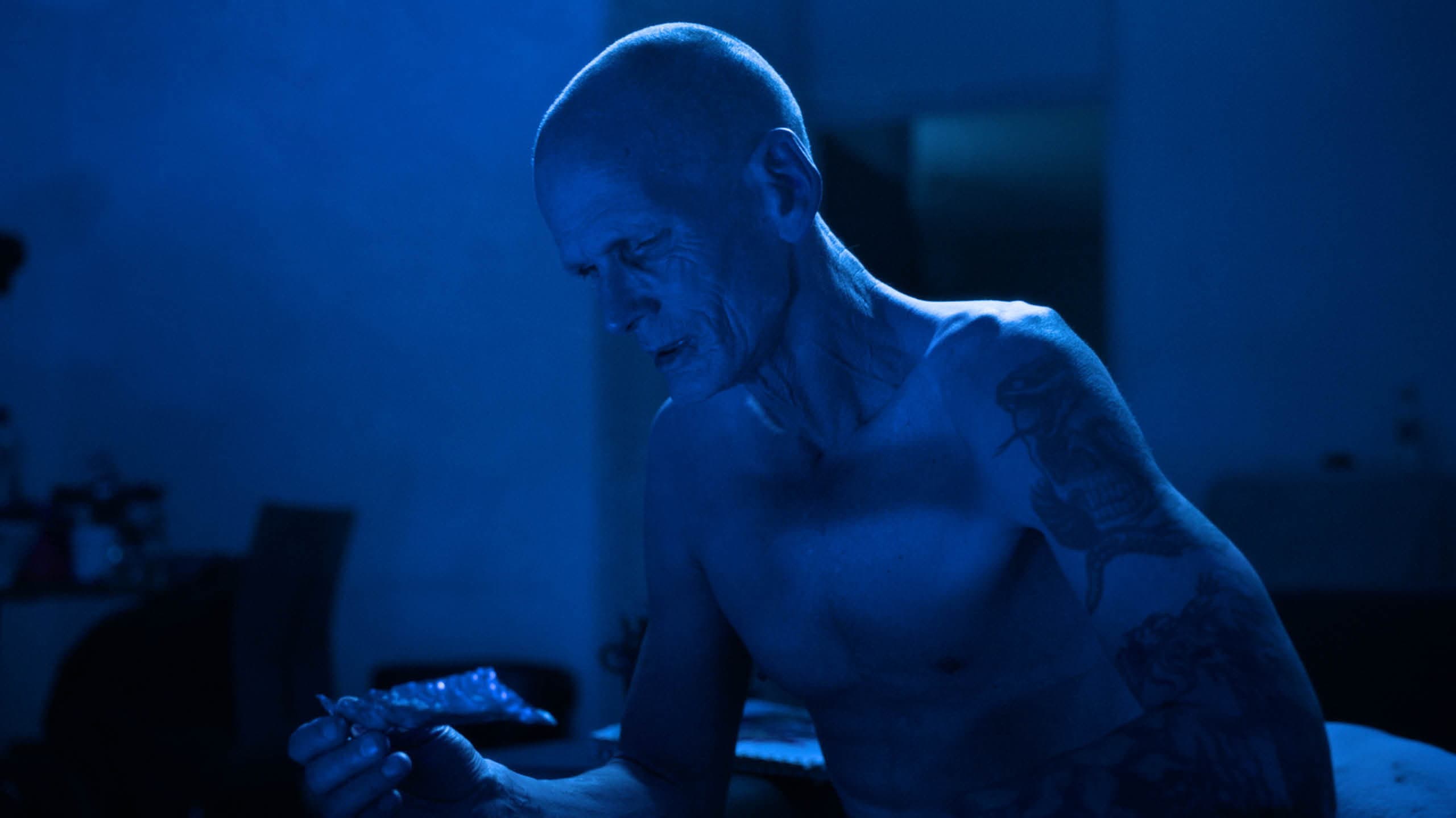 Paradise Morbid backdrop