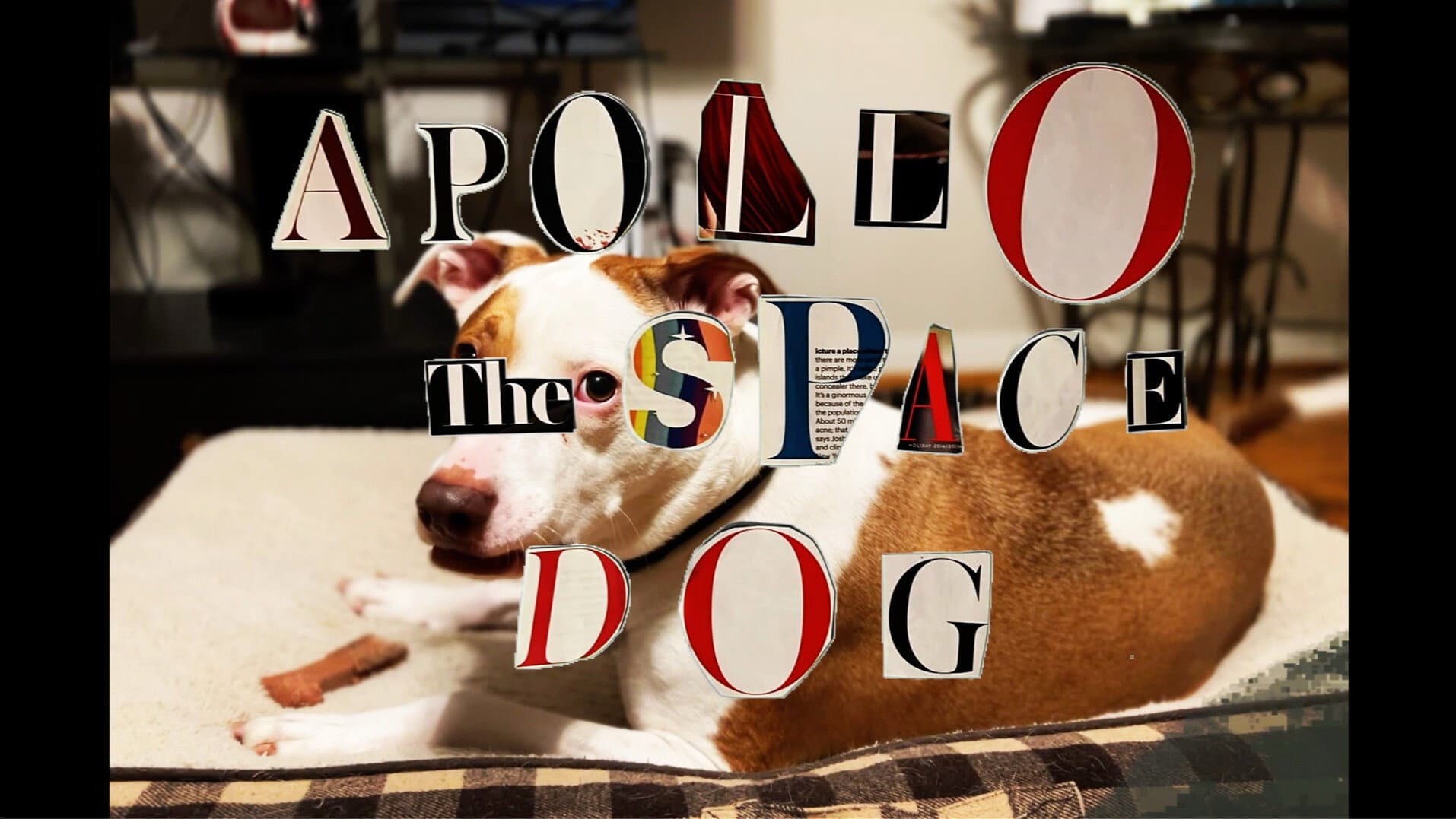 Apollo: The Space Dog backdrop