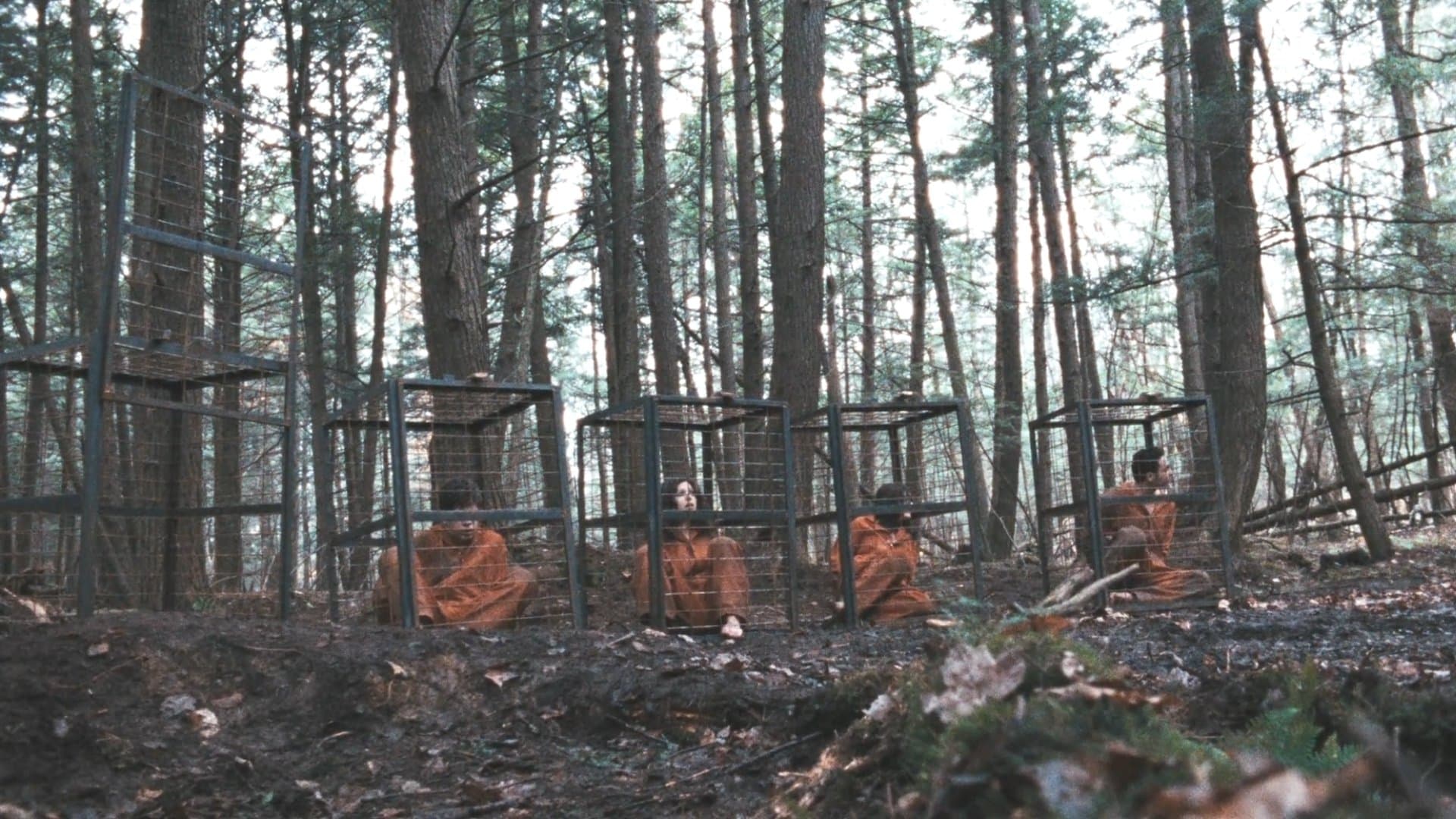 Territories backdrop