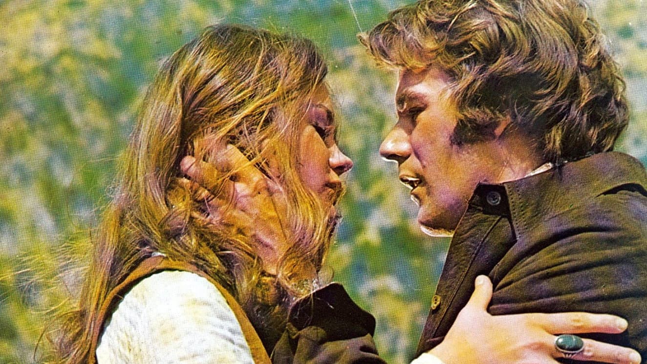 The Todd Killings backdrop