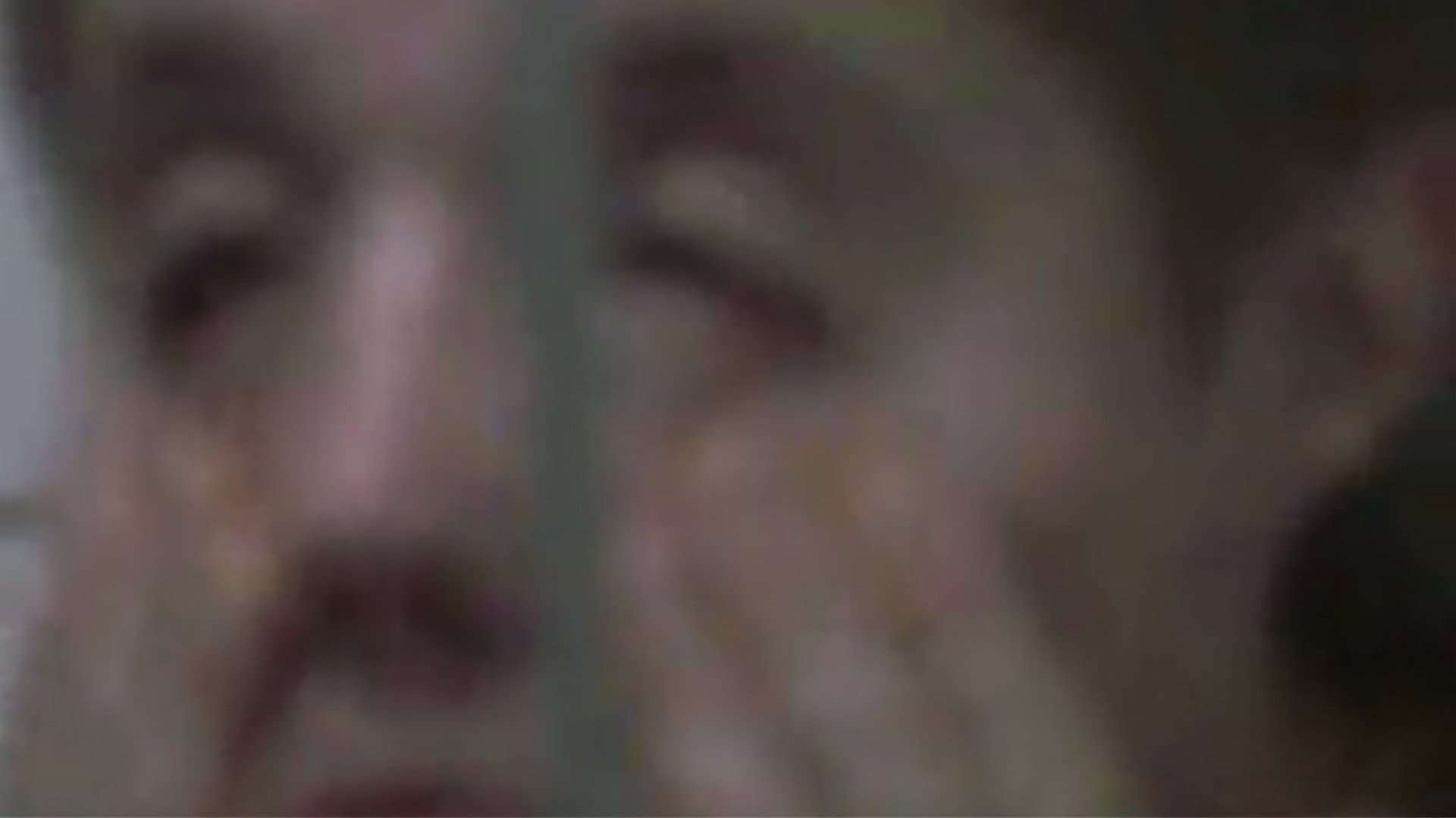 Rabbit on a Highway backdrop