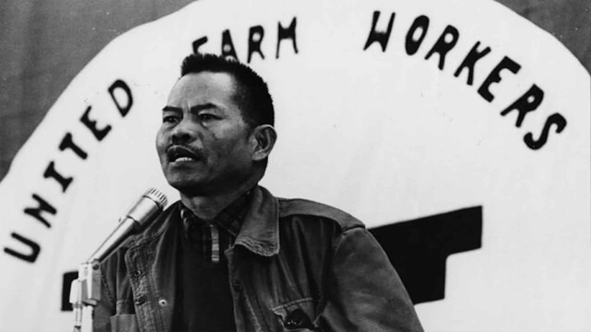 The Delano Manongs: Forgotten Heroes Of The United Farm Workers Movement backdrop