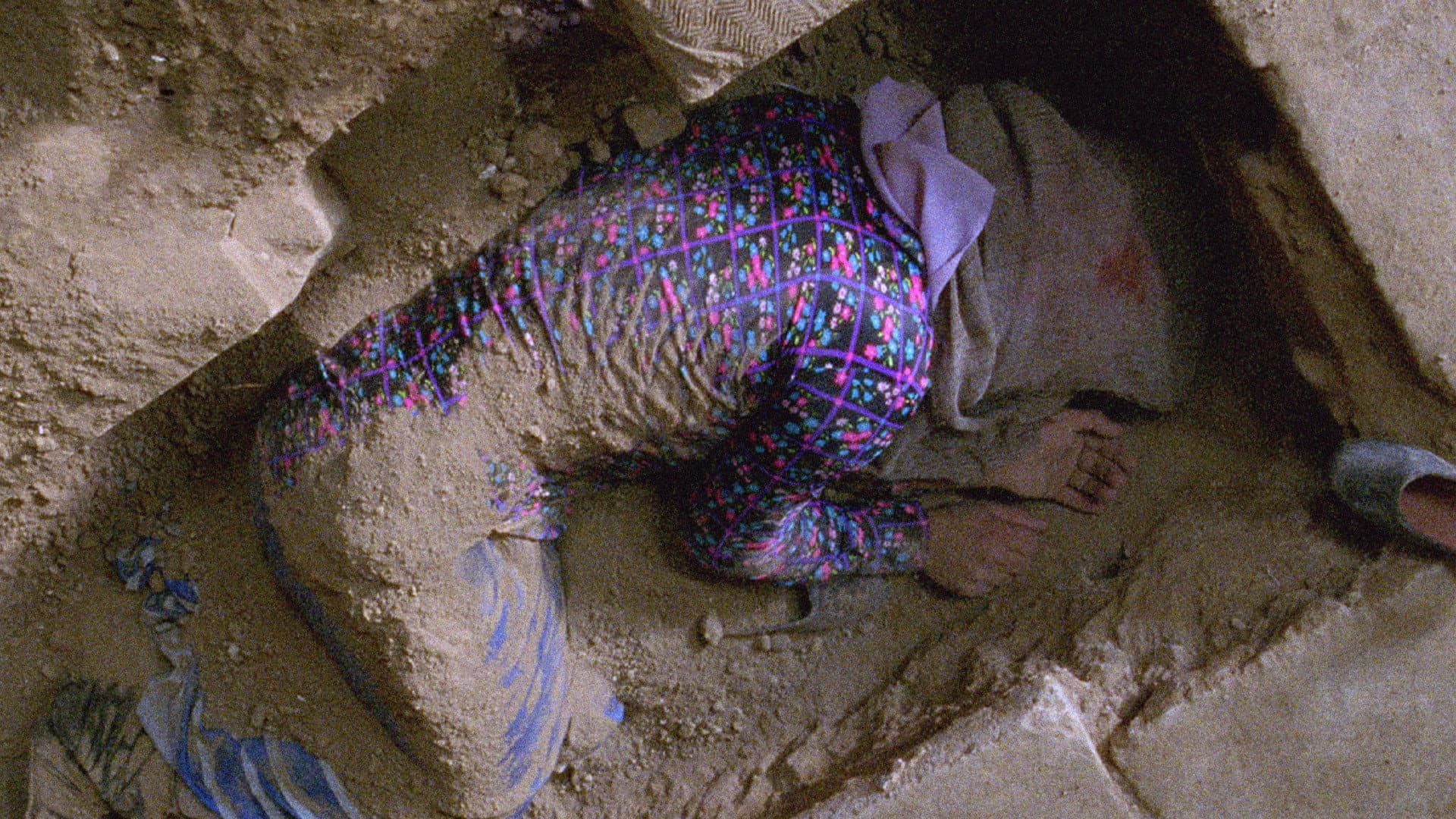 The Paternal House backdrop