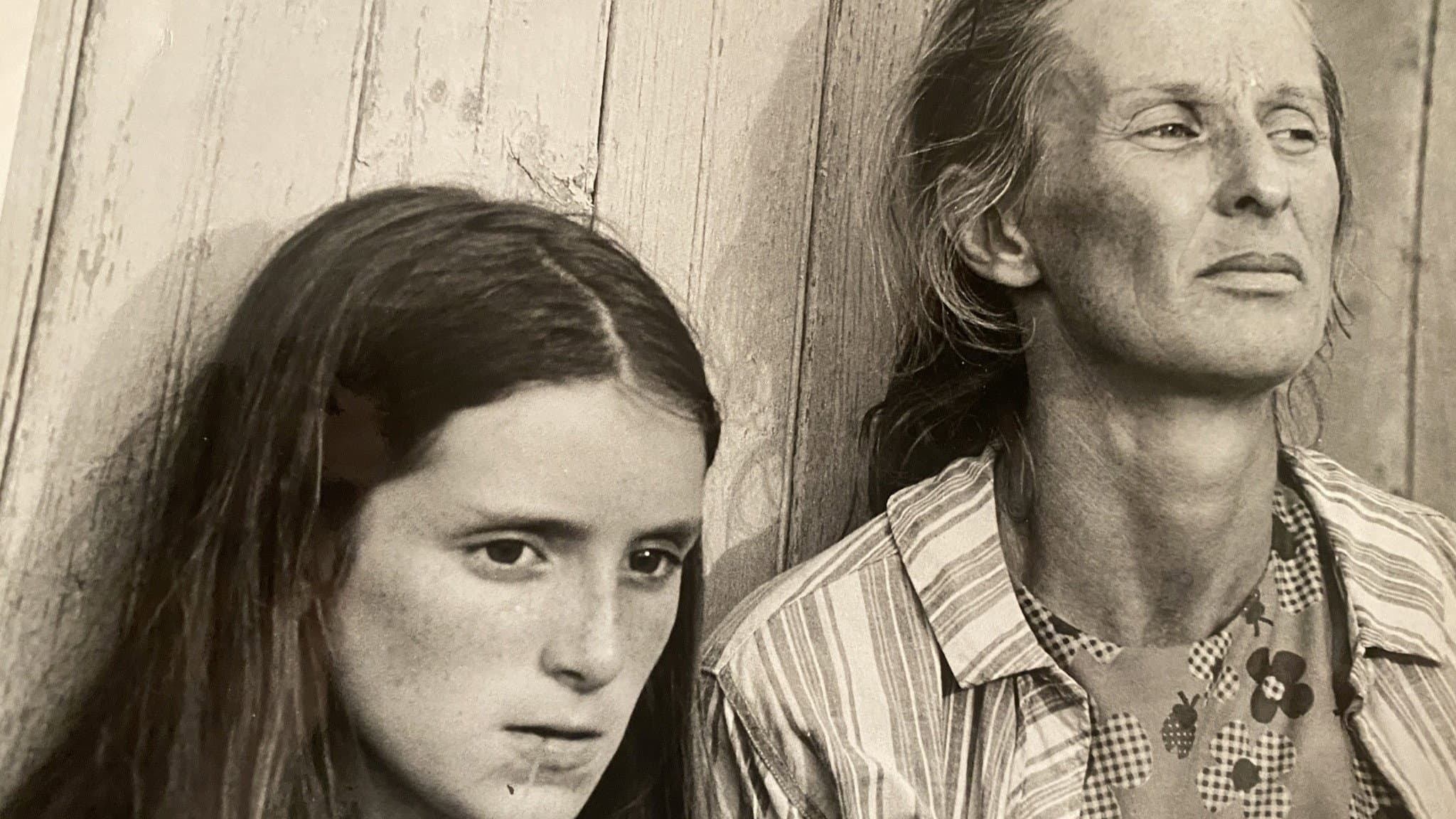 The Migrants backdrop