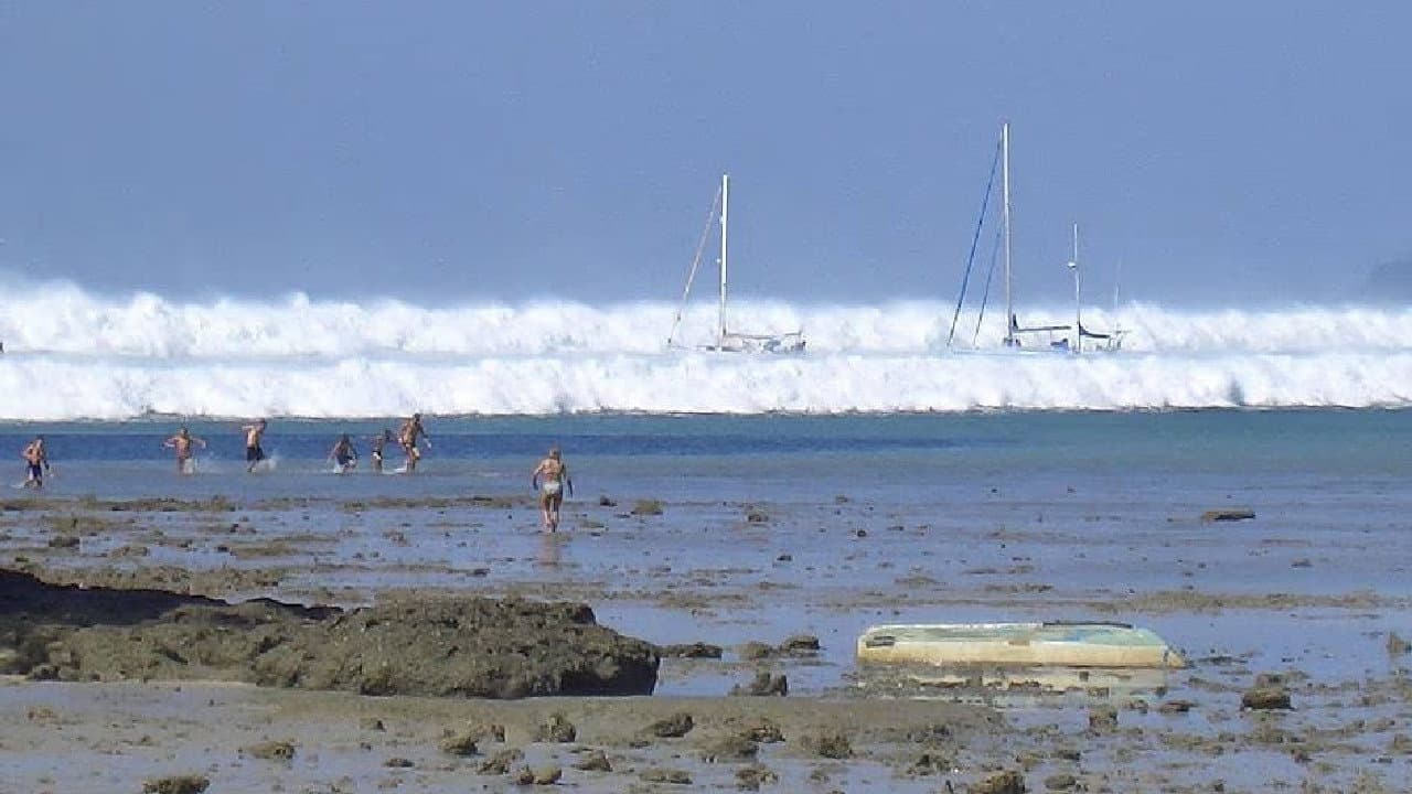 Tsunami: Caught on Camera backdrop
