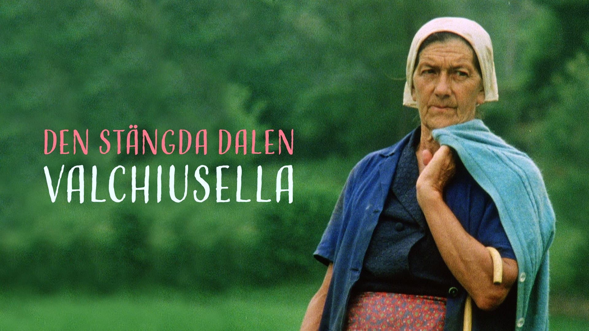 Den stängda dalen - Valchiusella backdrop