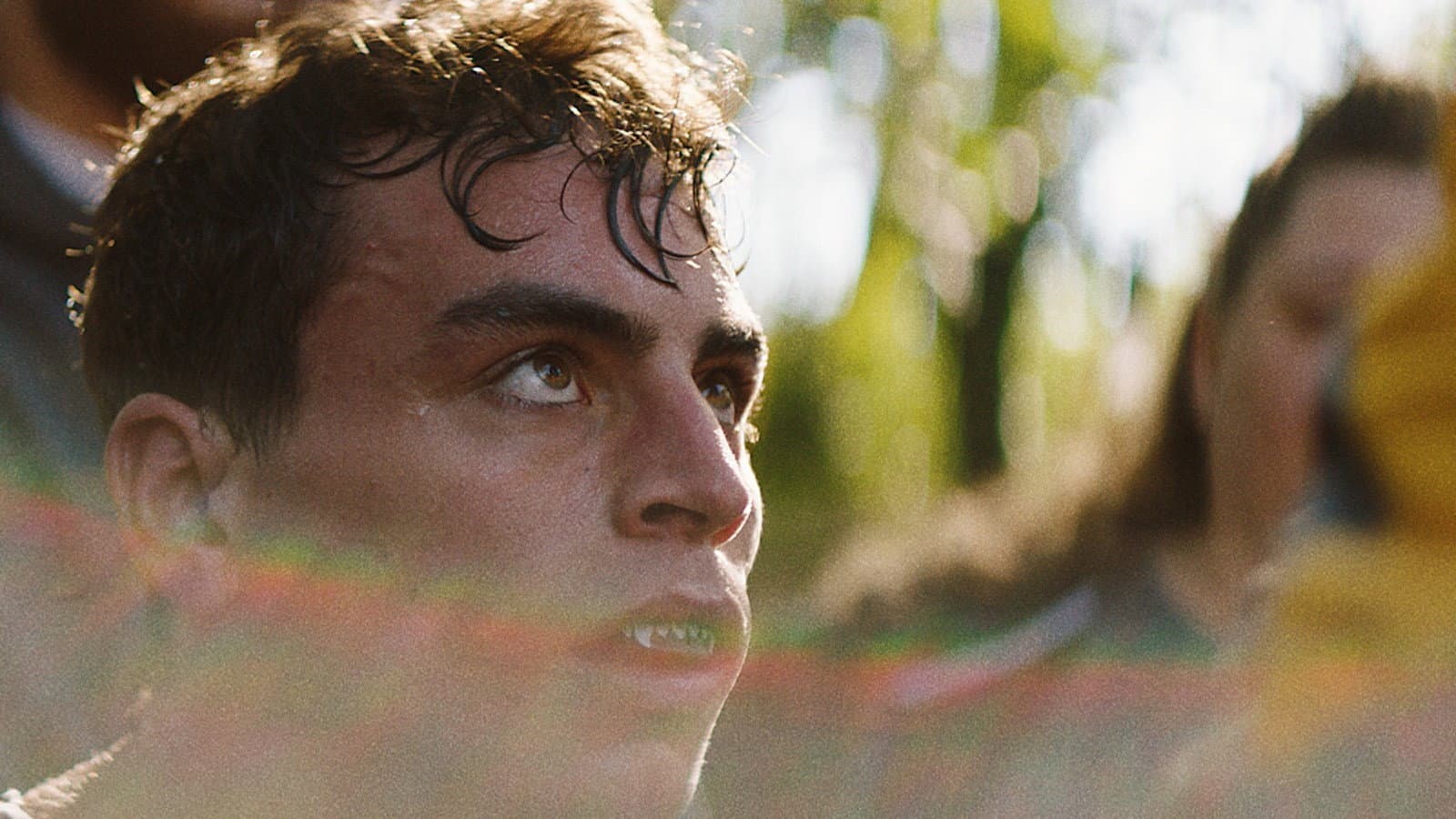 Lions in the Corner backdrop