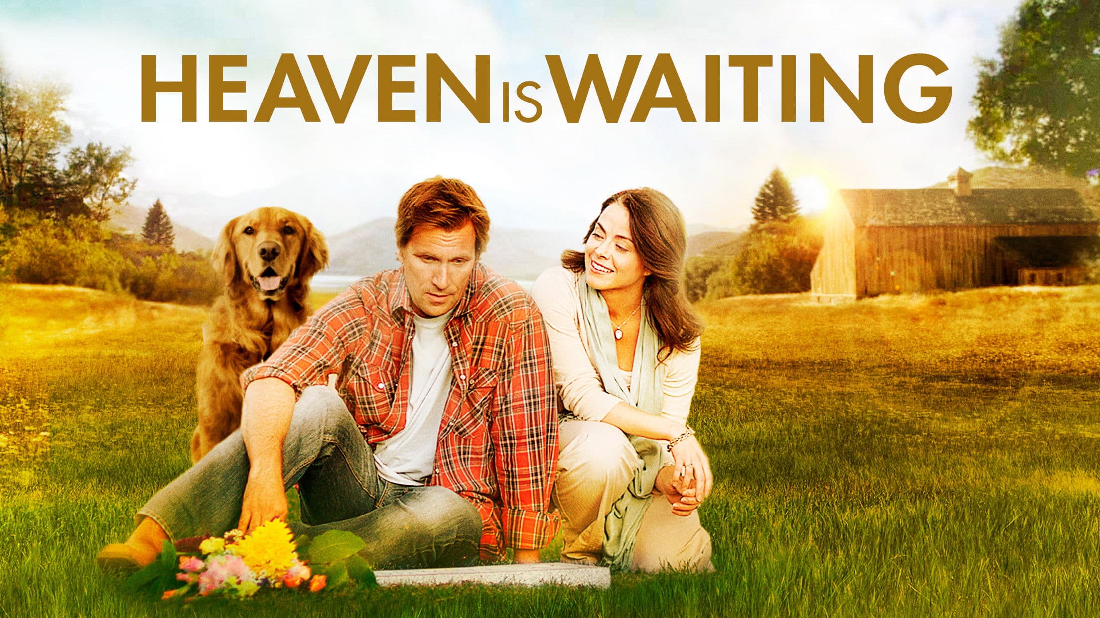 Midway to Heaven backdrop