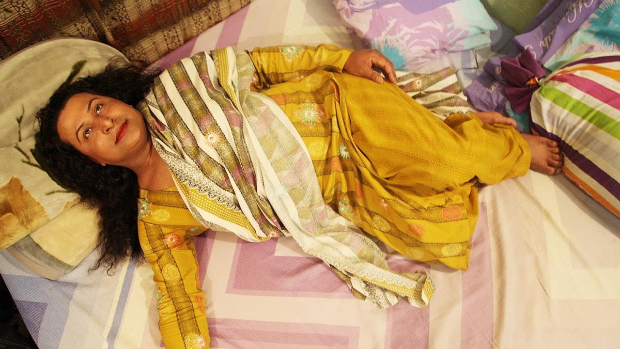 Hide & Seek backdrop