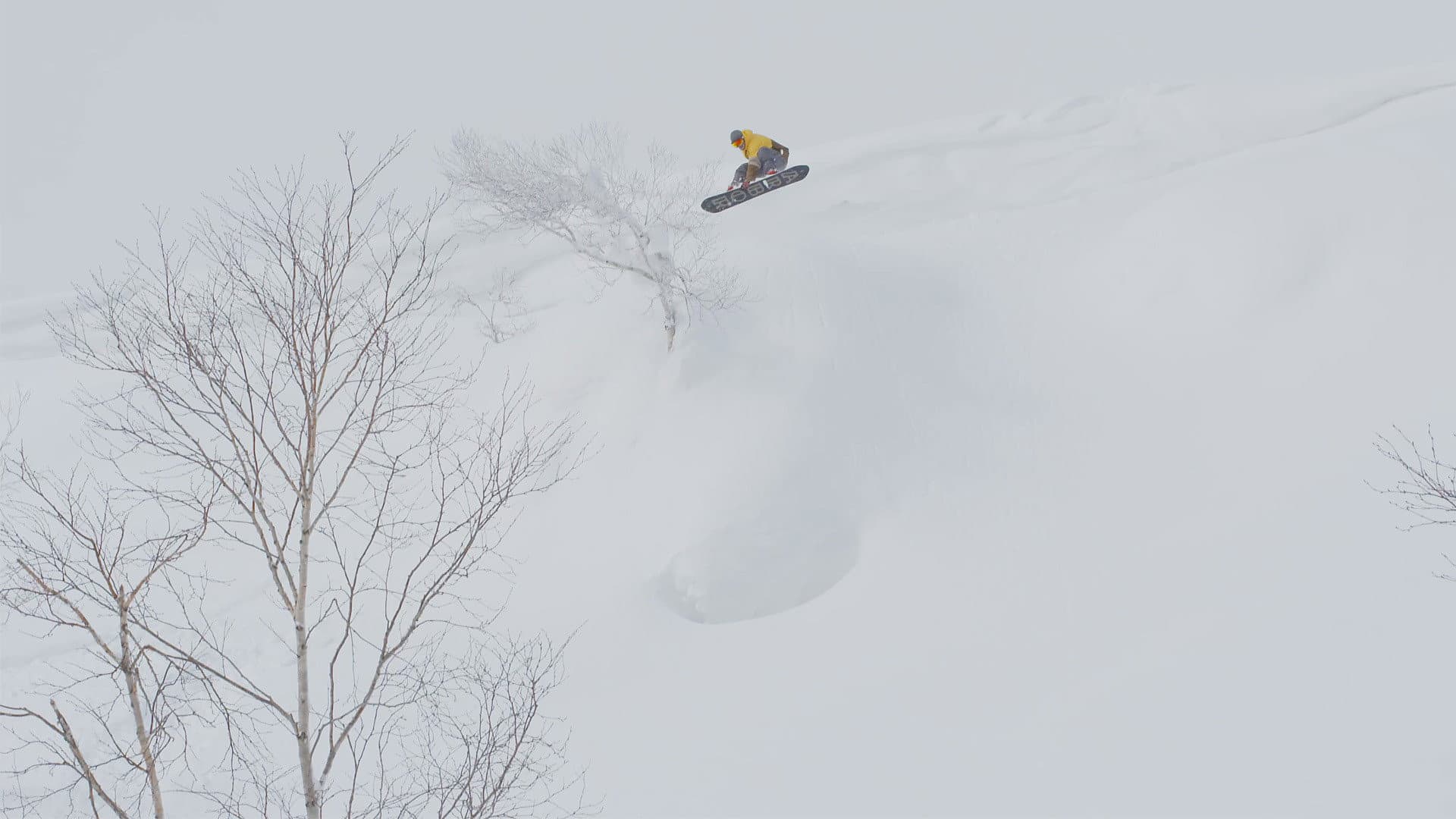 Naturestyle: Hokkaido Japan backdrop