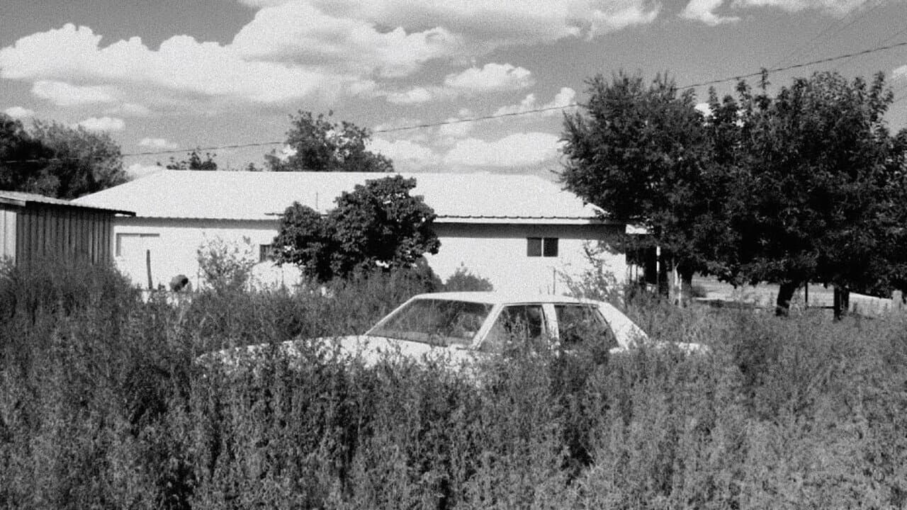 Limbs of Sun backdrop