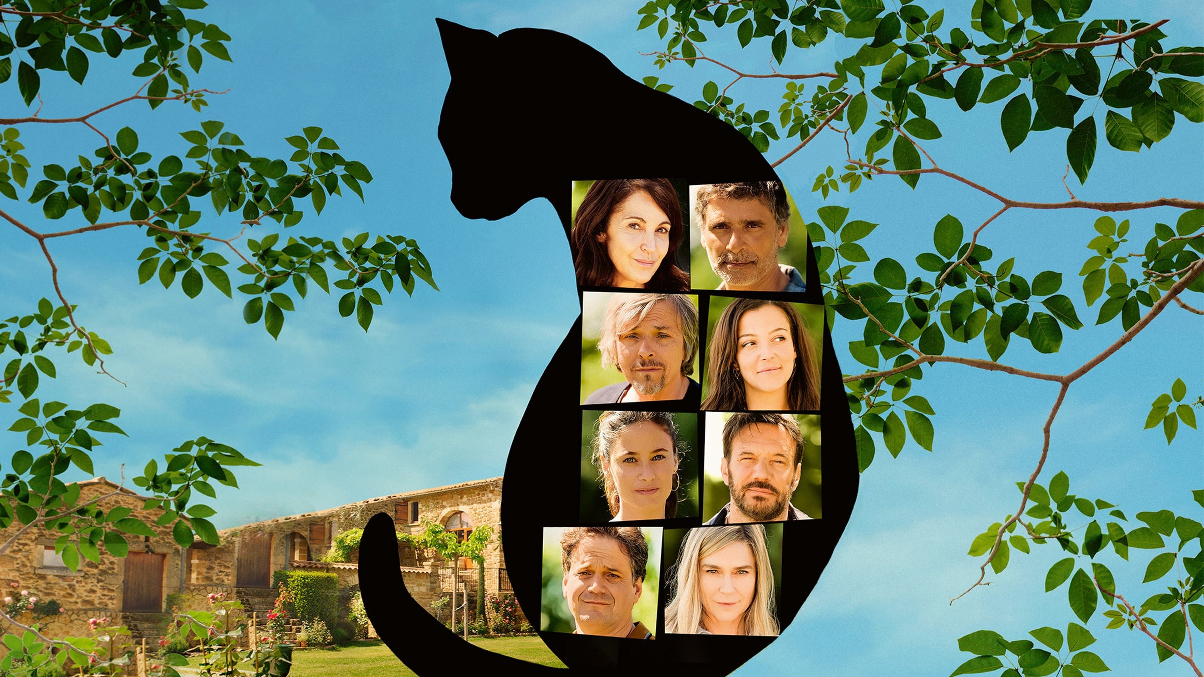 All Because of the Cat backdrop