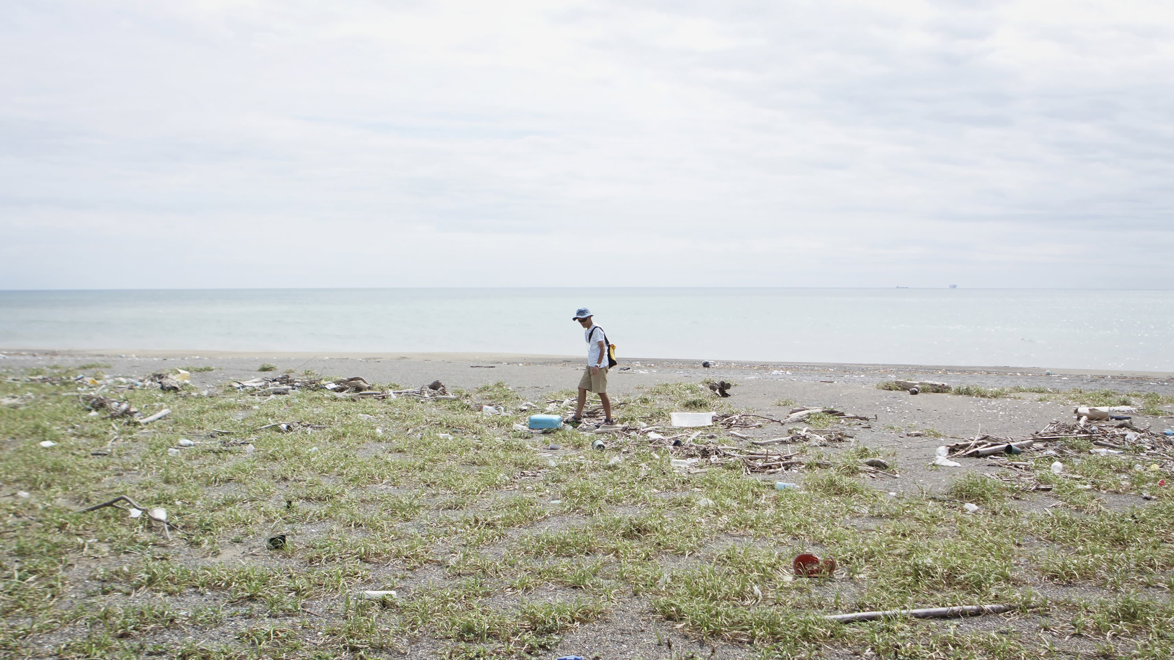 Walk the Tideline backdrop