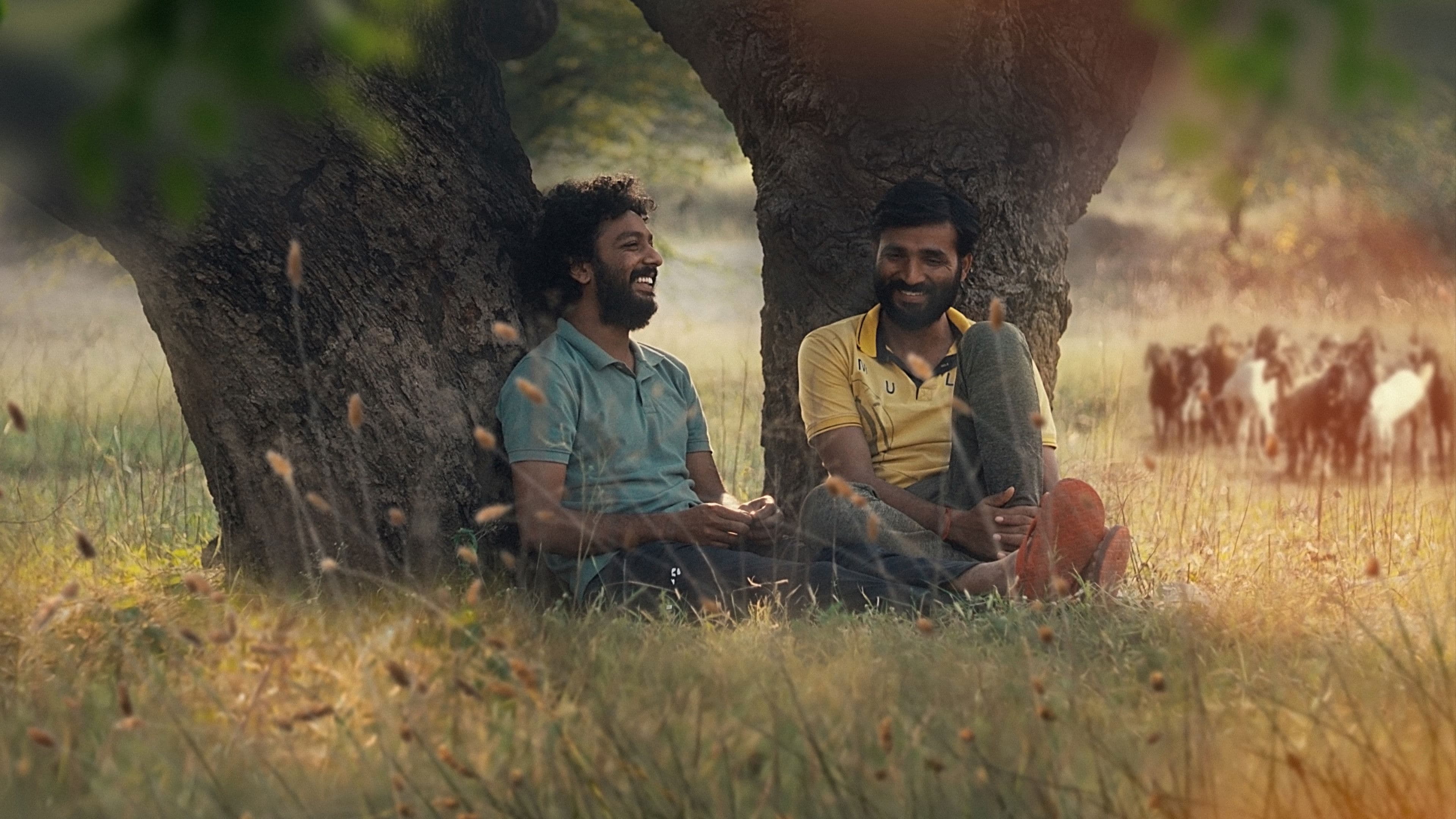 Cactus Pears backdrop