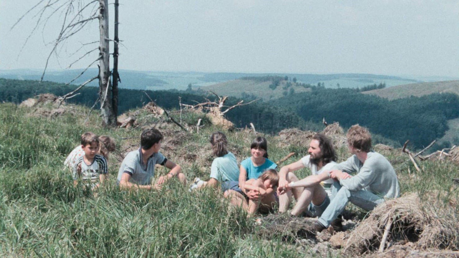 Farewell, Beautiful Forest… or How a Film Was Censored backdrop