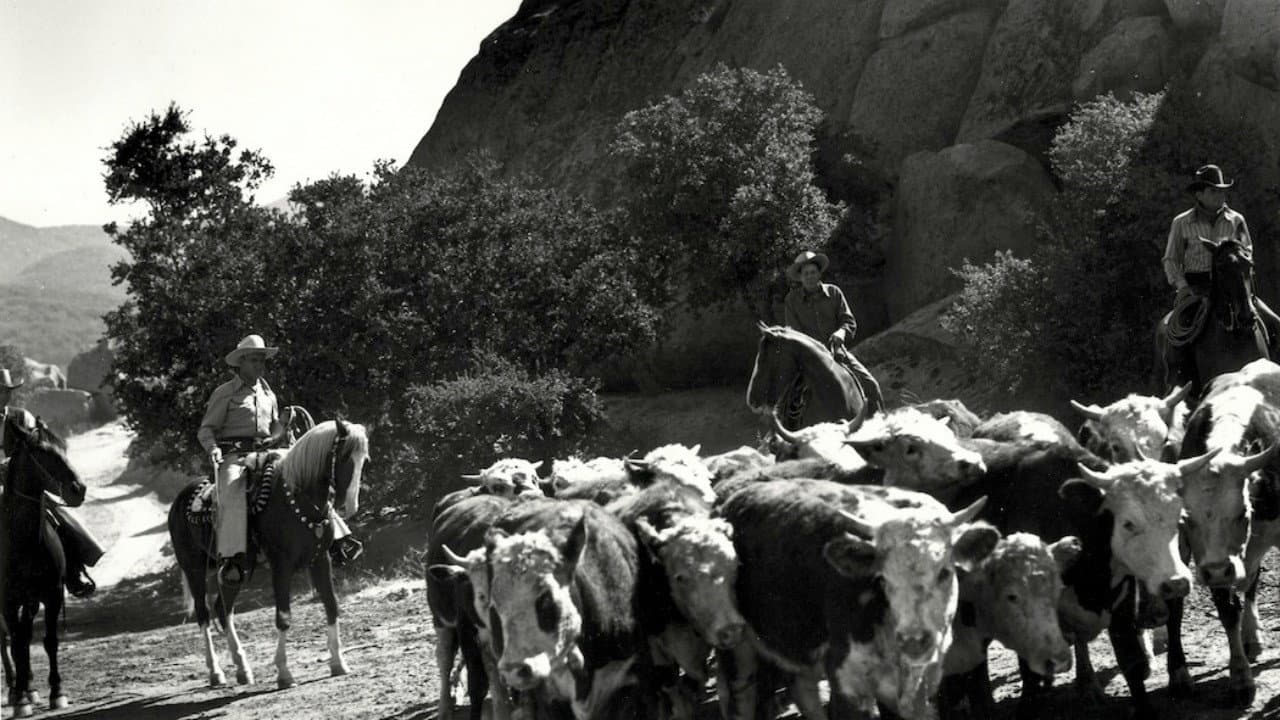 Riders in the Sky backdrop