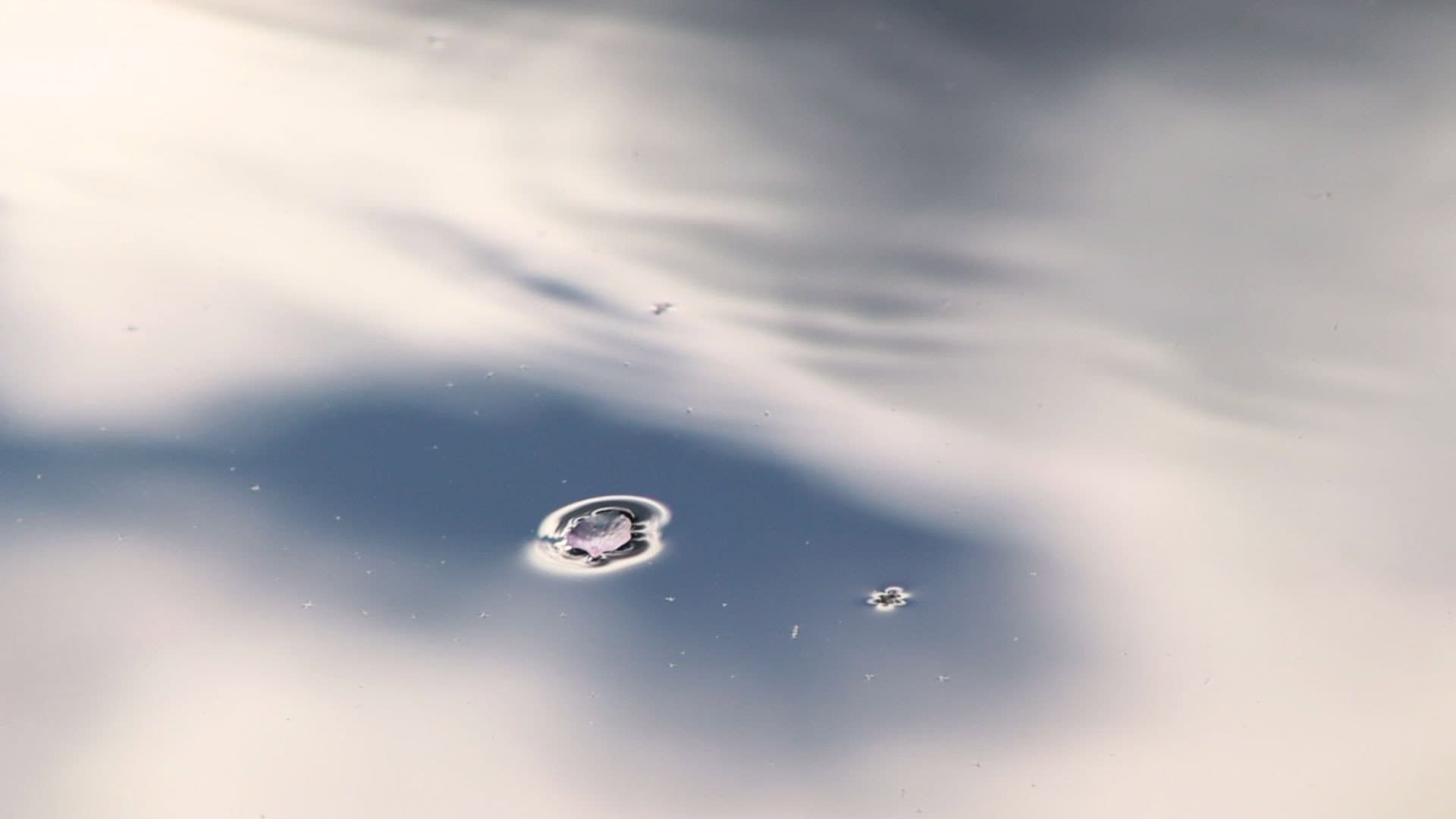 The Last Vigil backdrop