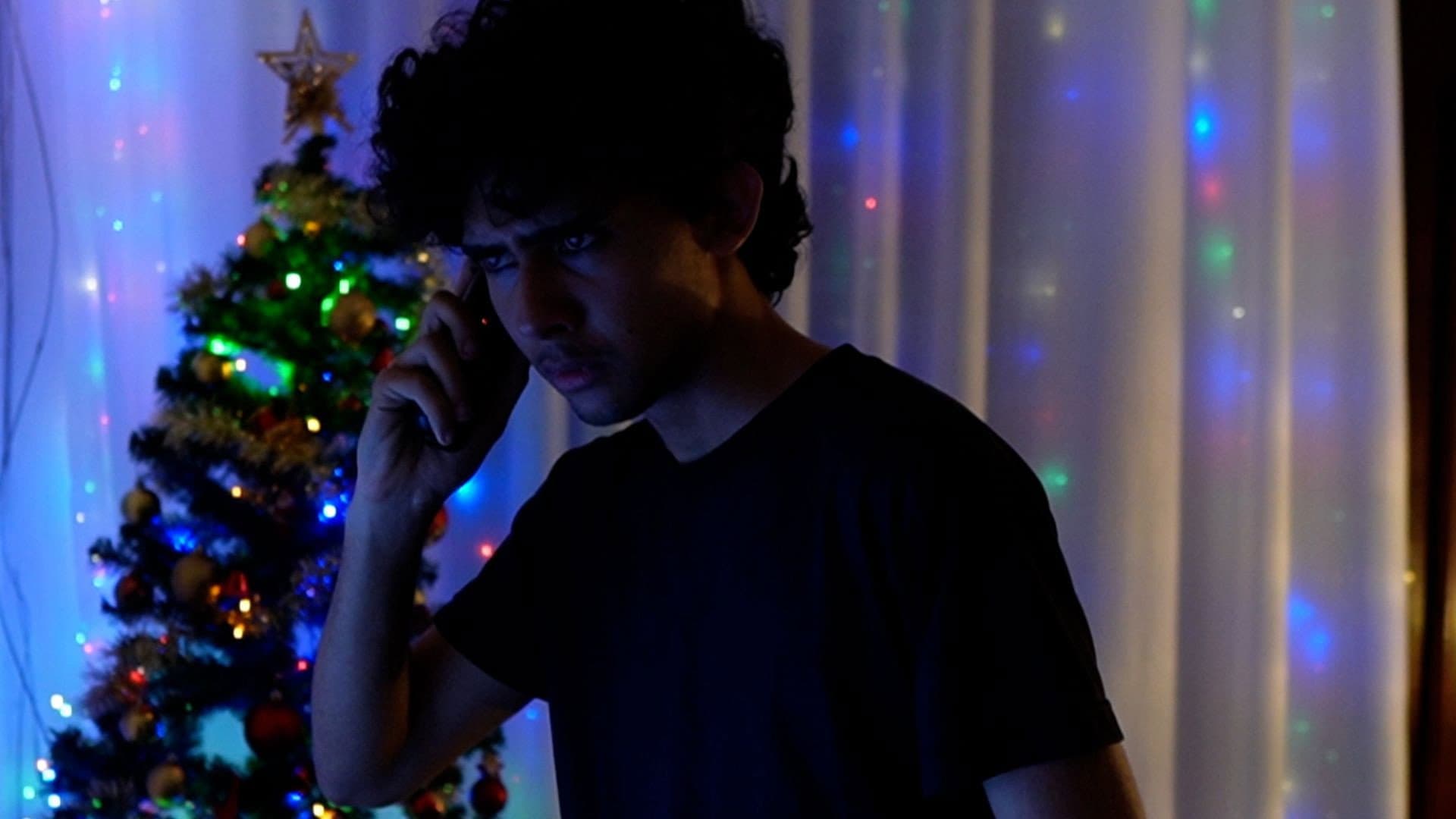 Laços de Natal backdrop