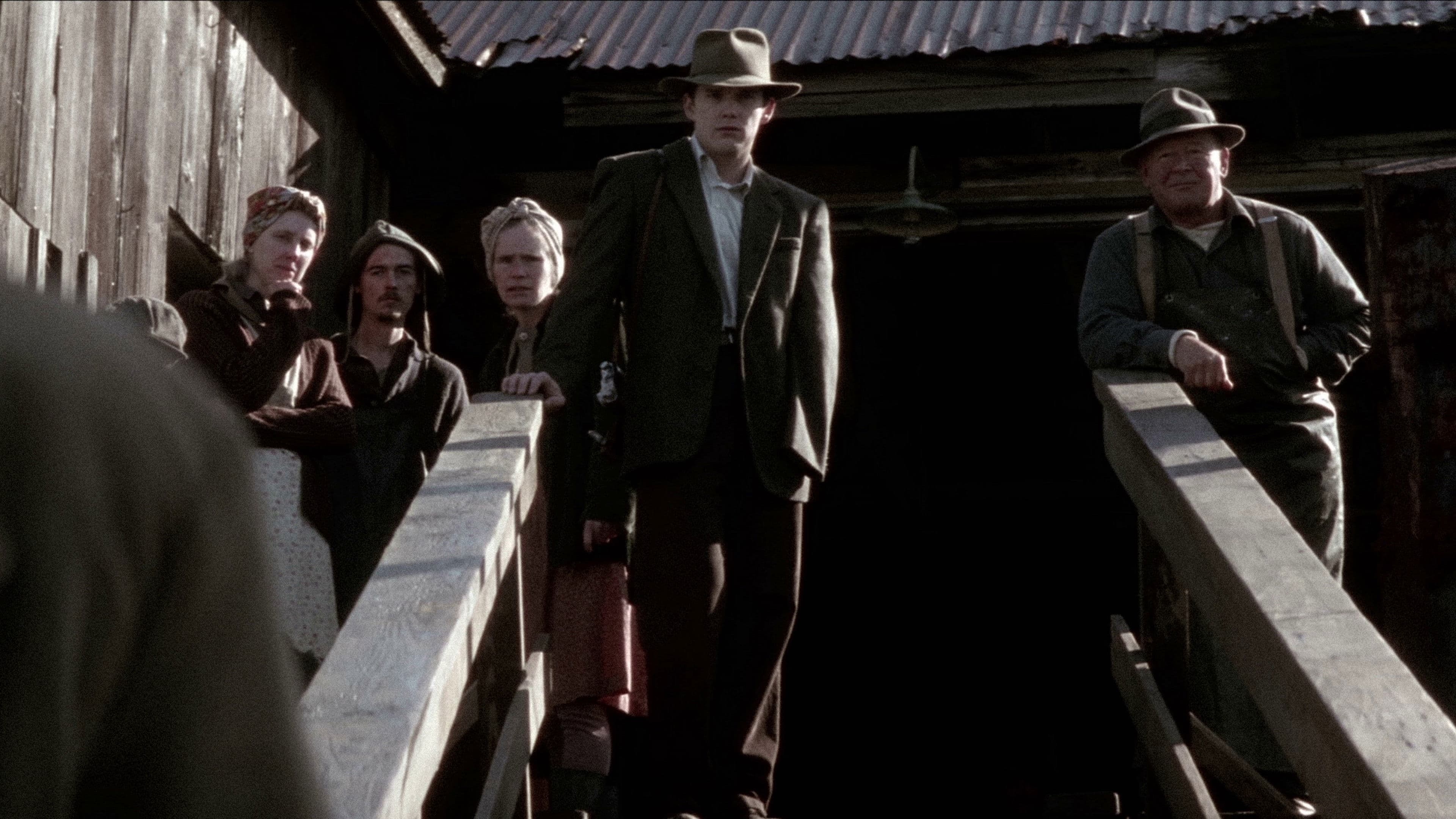 Snow Falling on Cedars backdrop