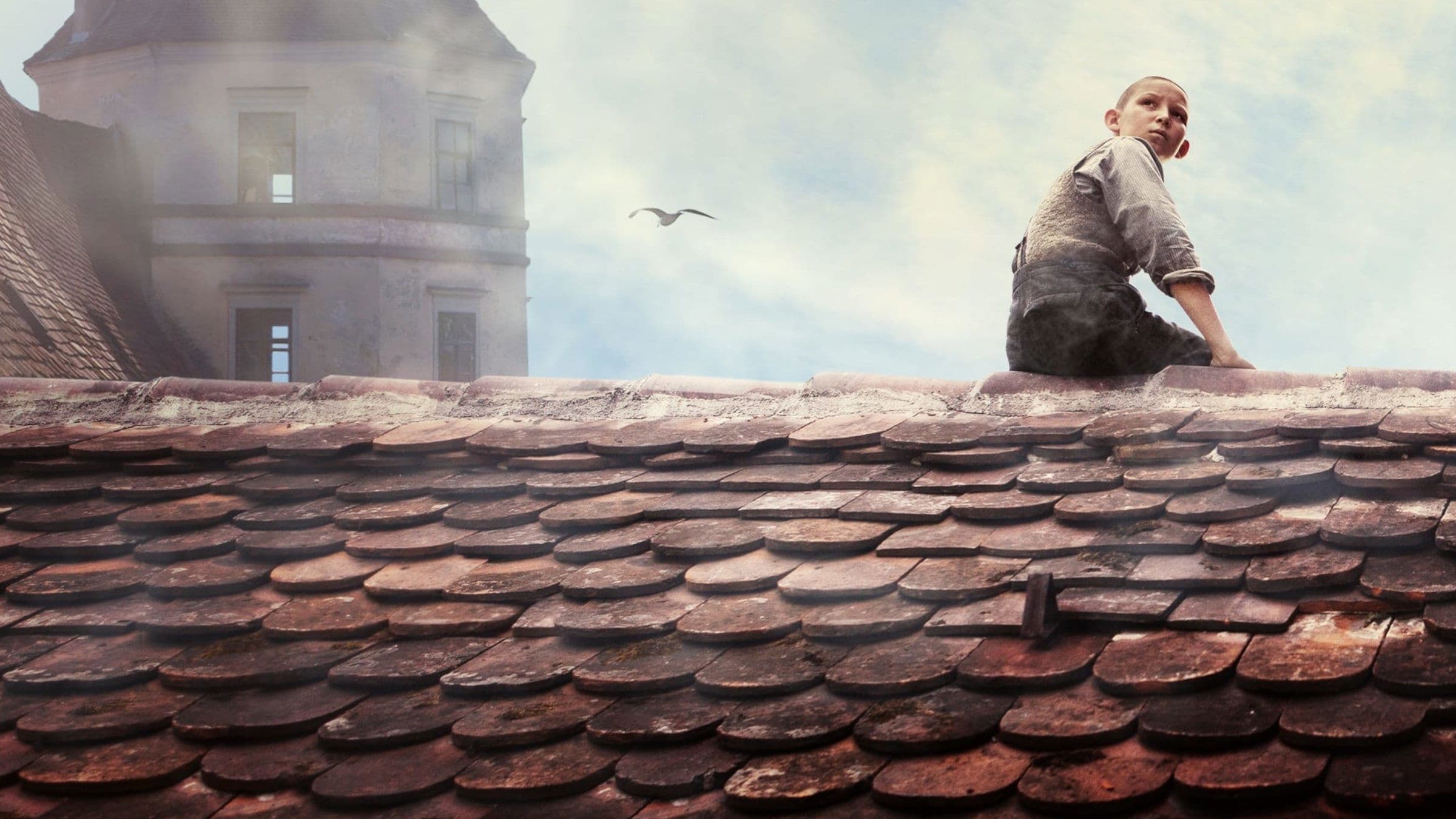 Fog in August backdrop