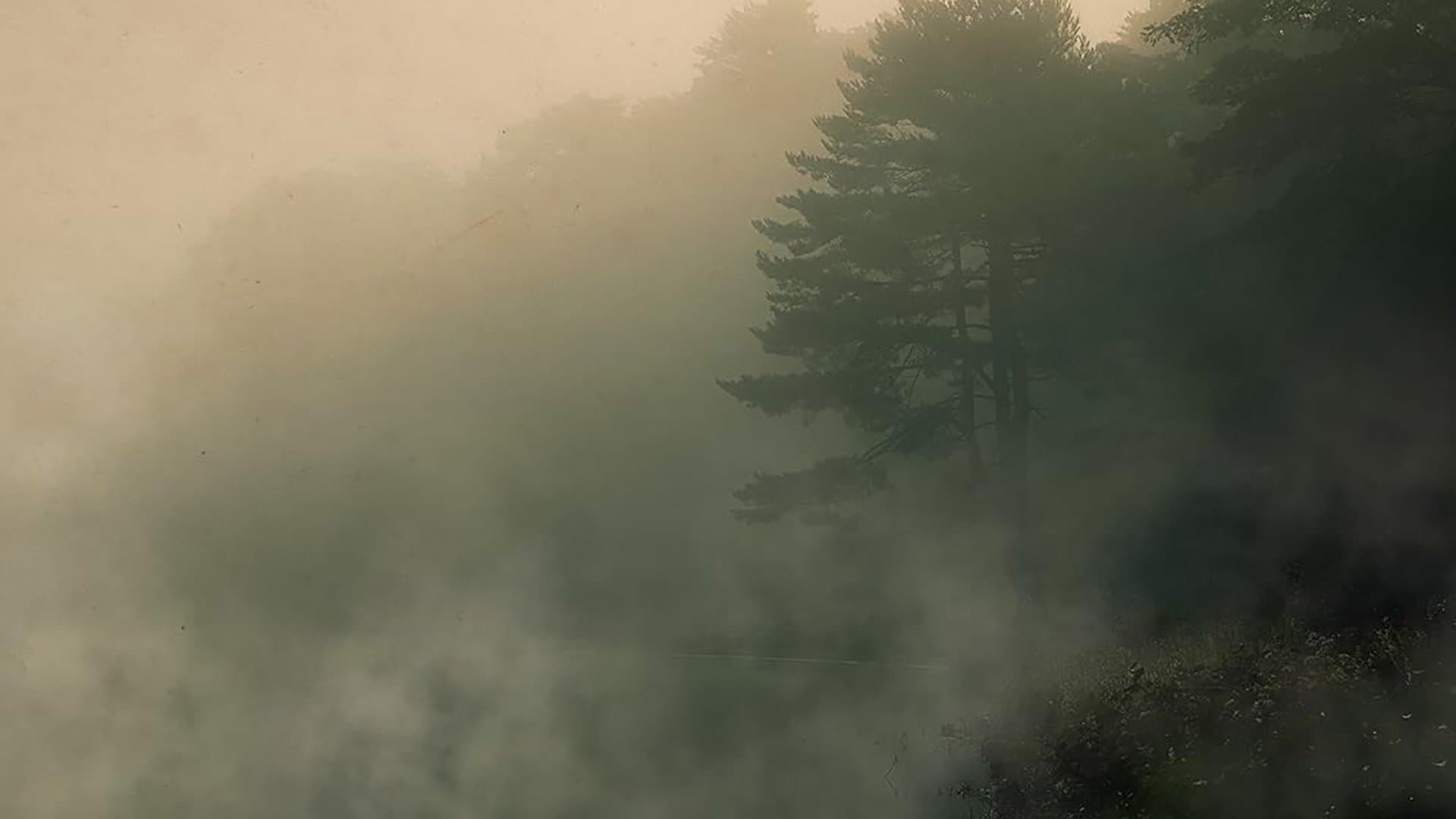 Devil in the Ozarks backdrop