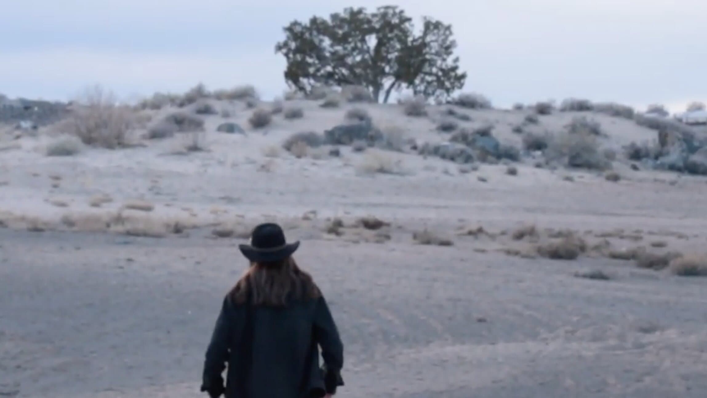 Man in the Mesa backdrop