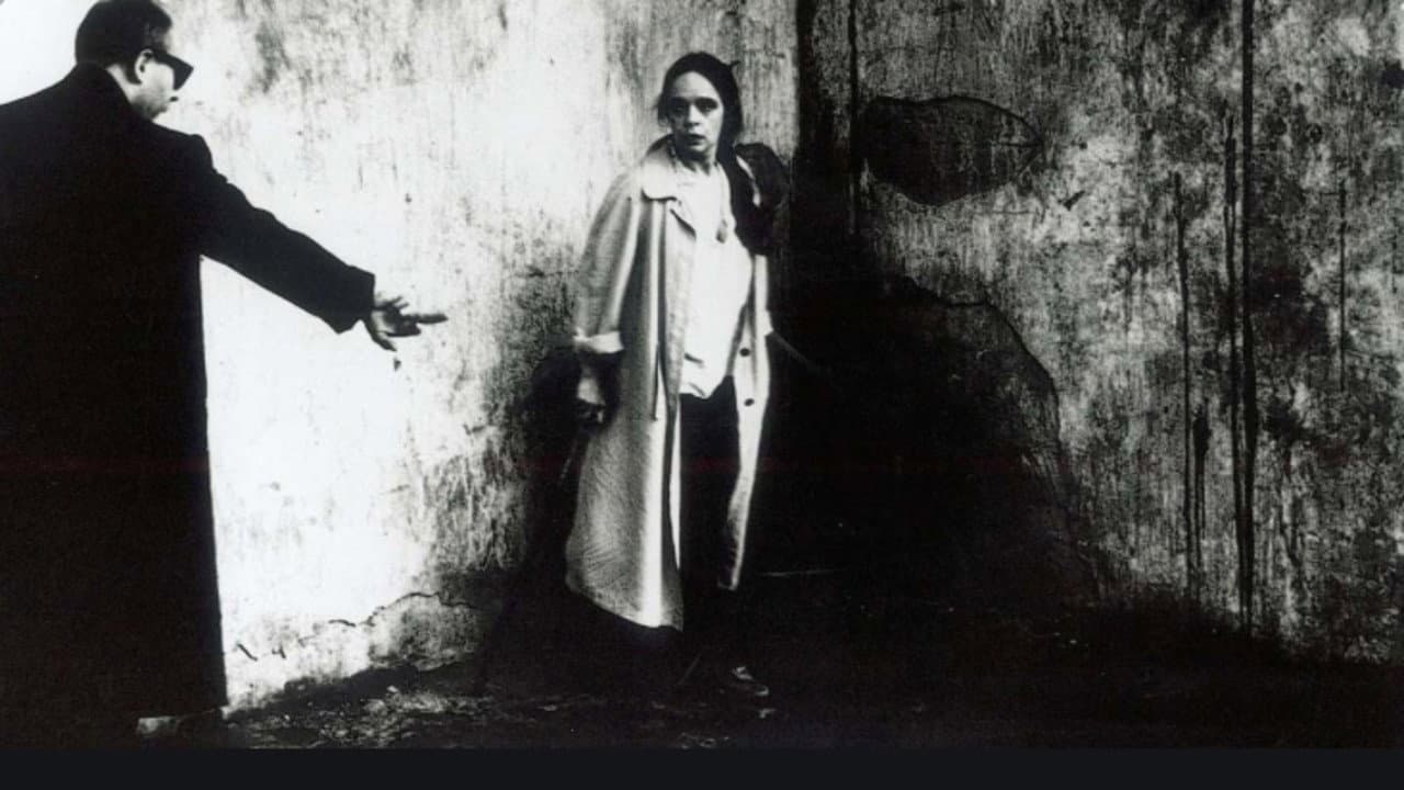 Reflections in a Mirror backdrop