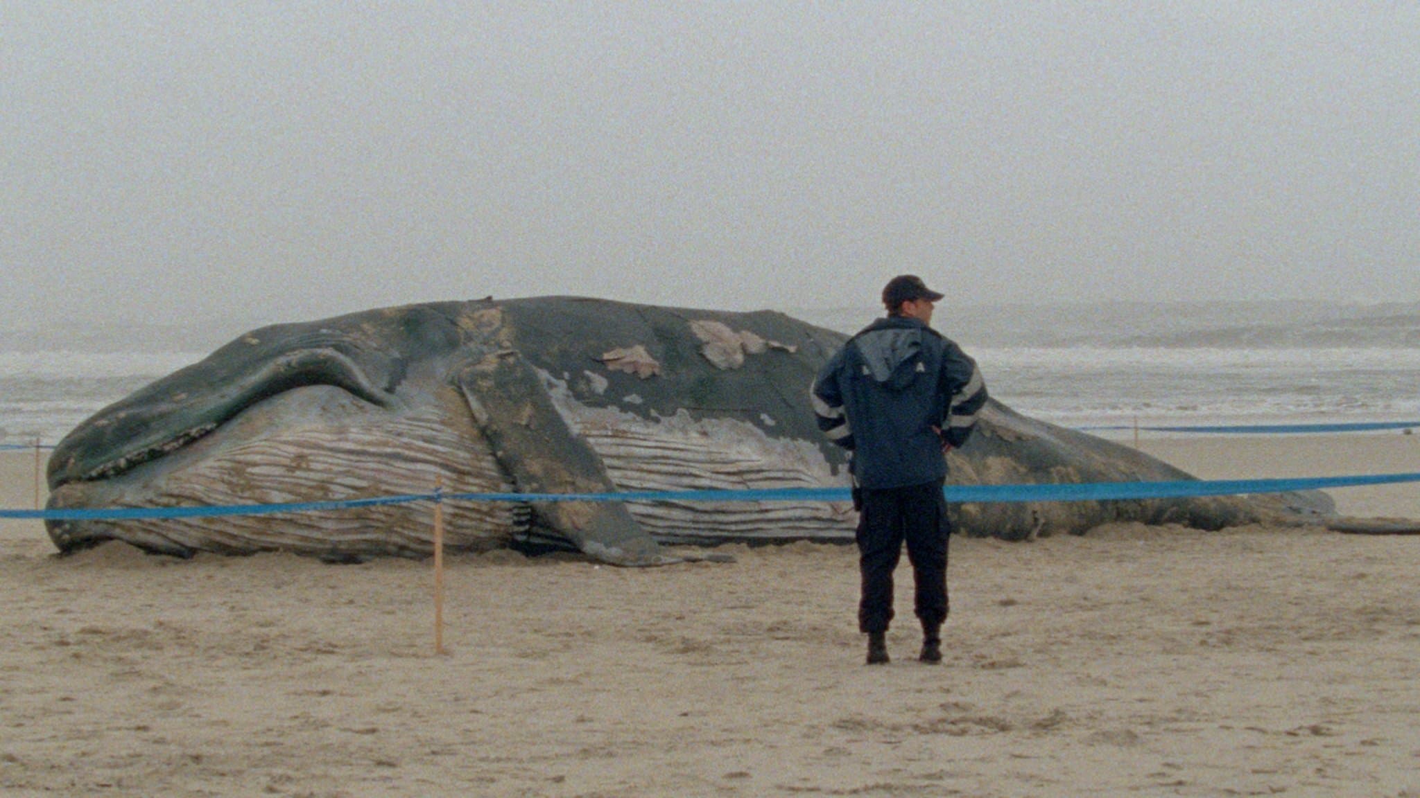 Arabian Nights: Volume 1, The Restless One backdrop