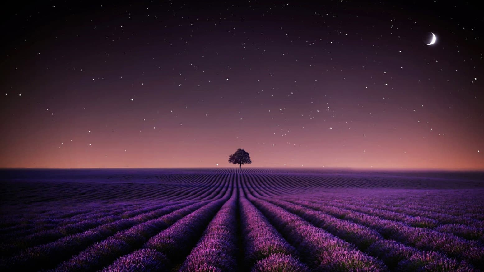 Adieu Aurora backdrop