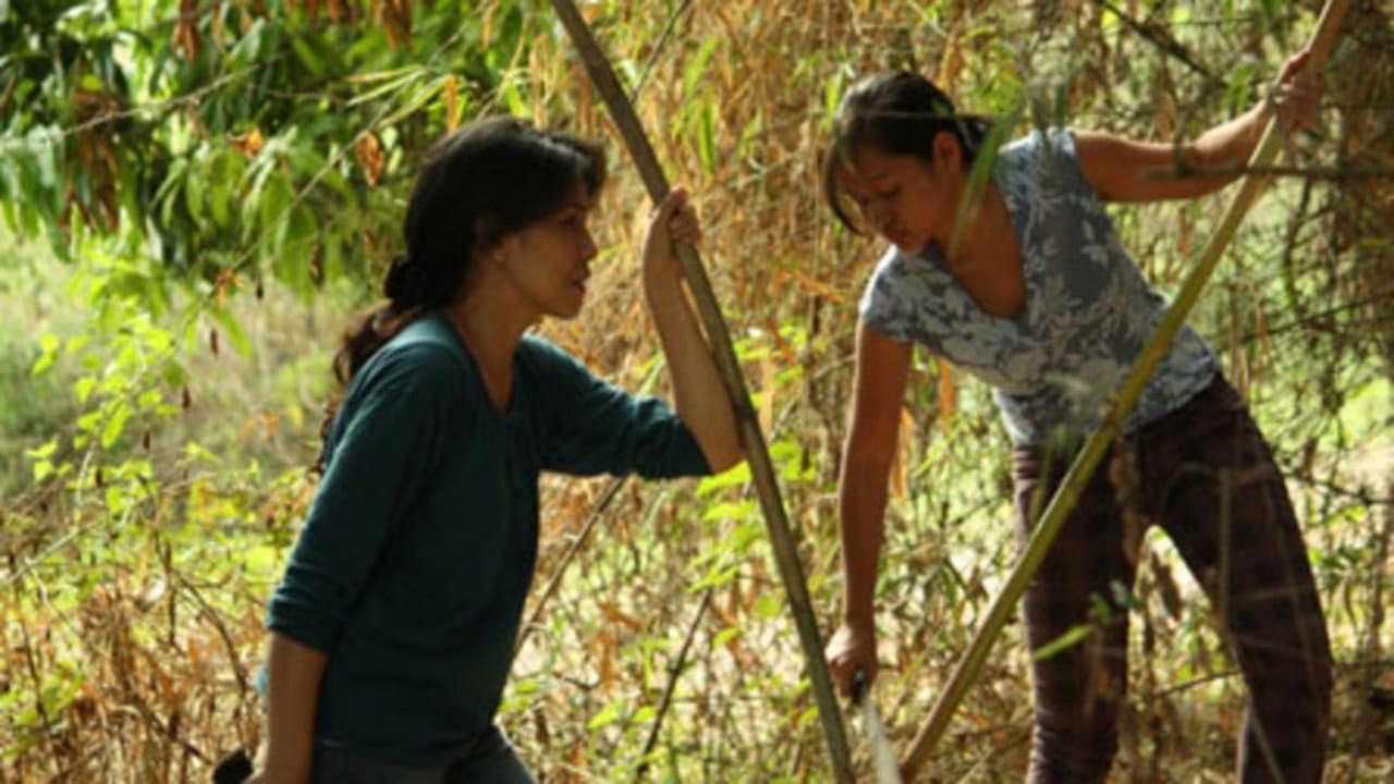 The Rapture of Fe backdrop