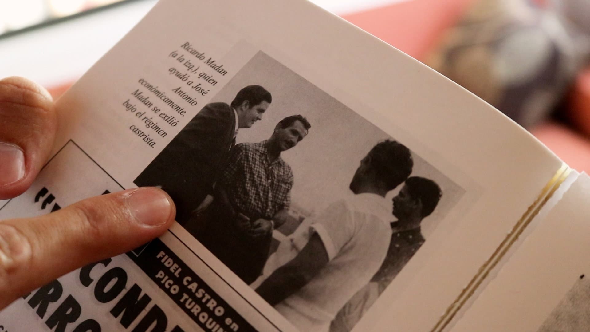 Hijos de la Diáspora backdrop