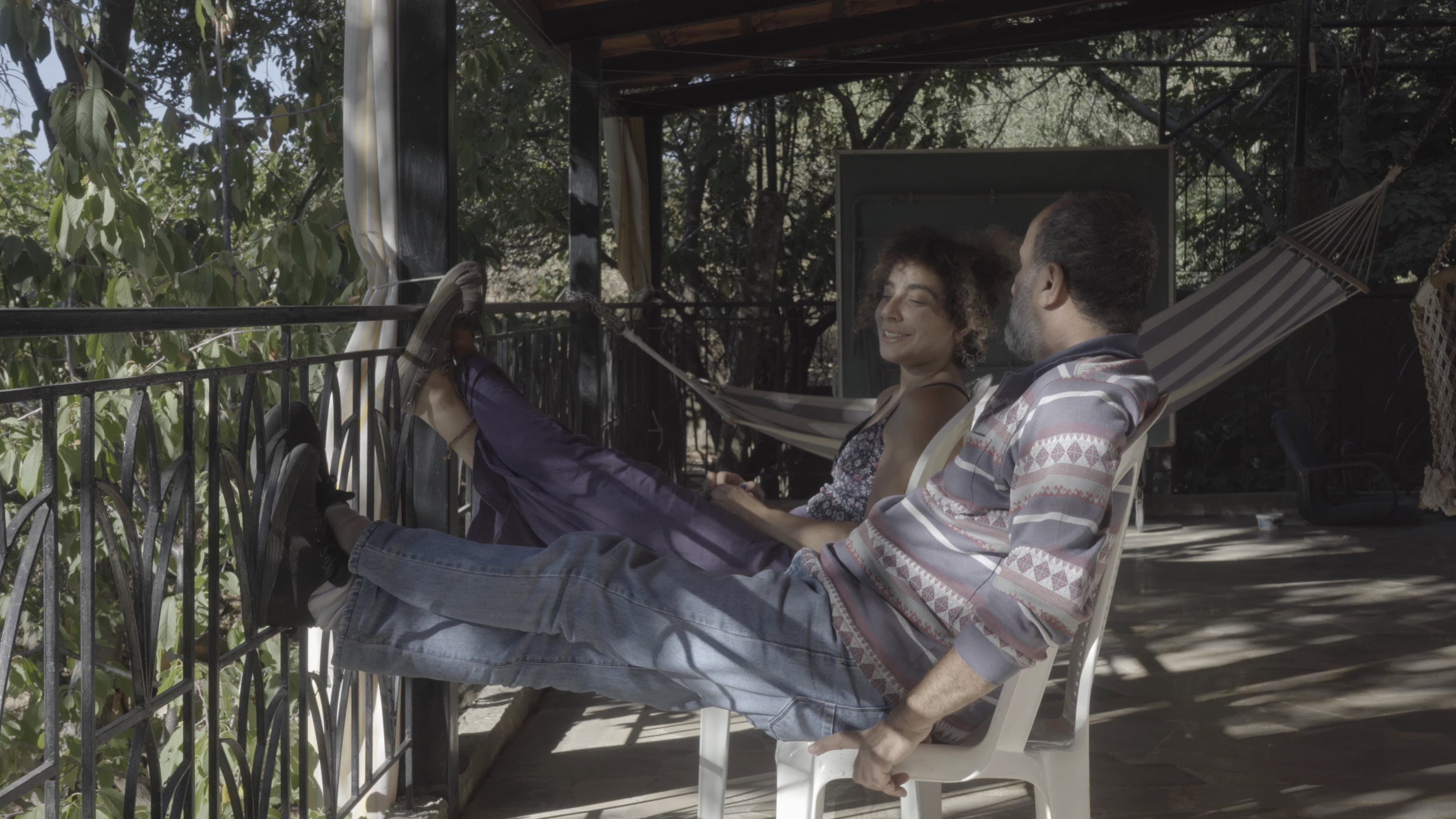 The cats, the sea, and everything in between. backdrop