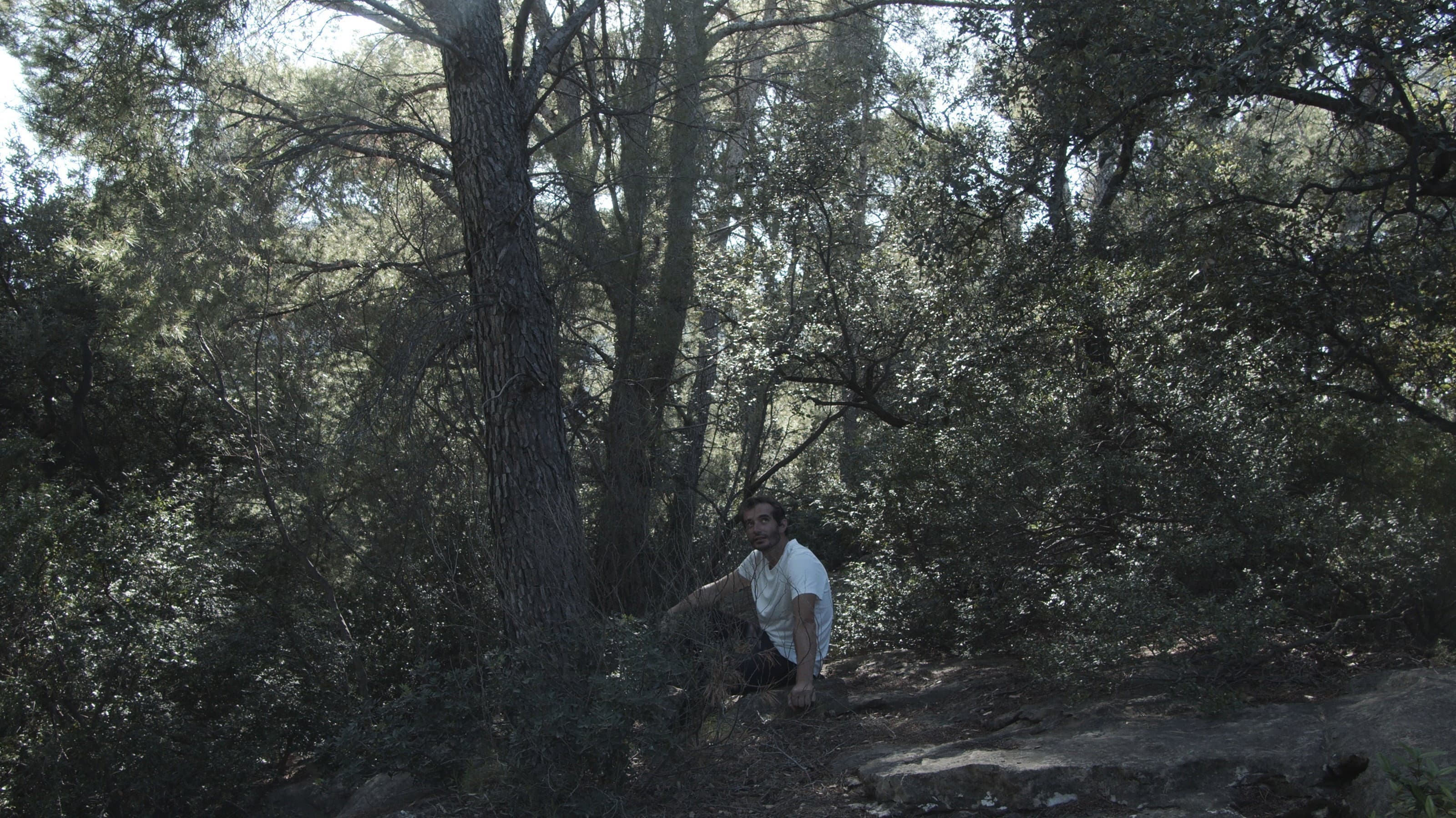 The iron man. backdrop