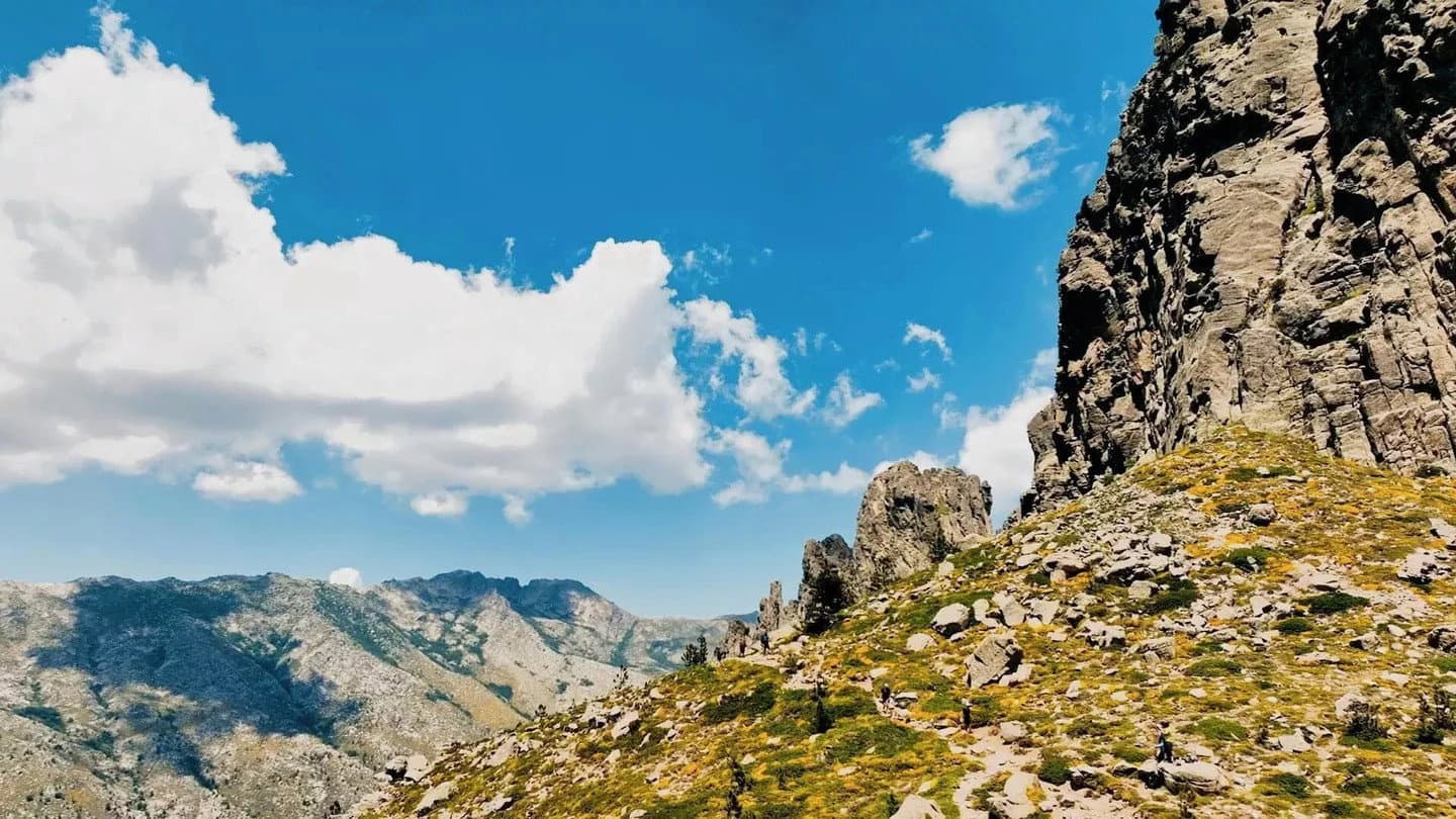 Ce Qui Compte backdrop