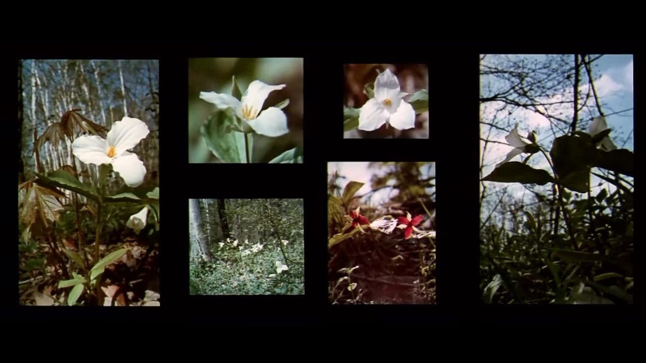 A Place to Stand backdrop