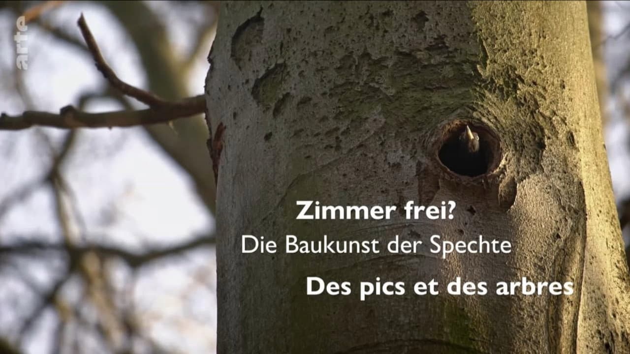 Knock knock – a Woodpeckers world backdrop