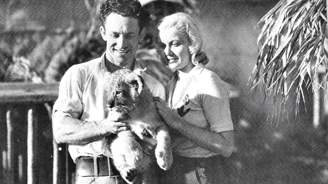 The Lost Jungle backdrop