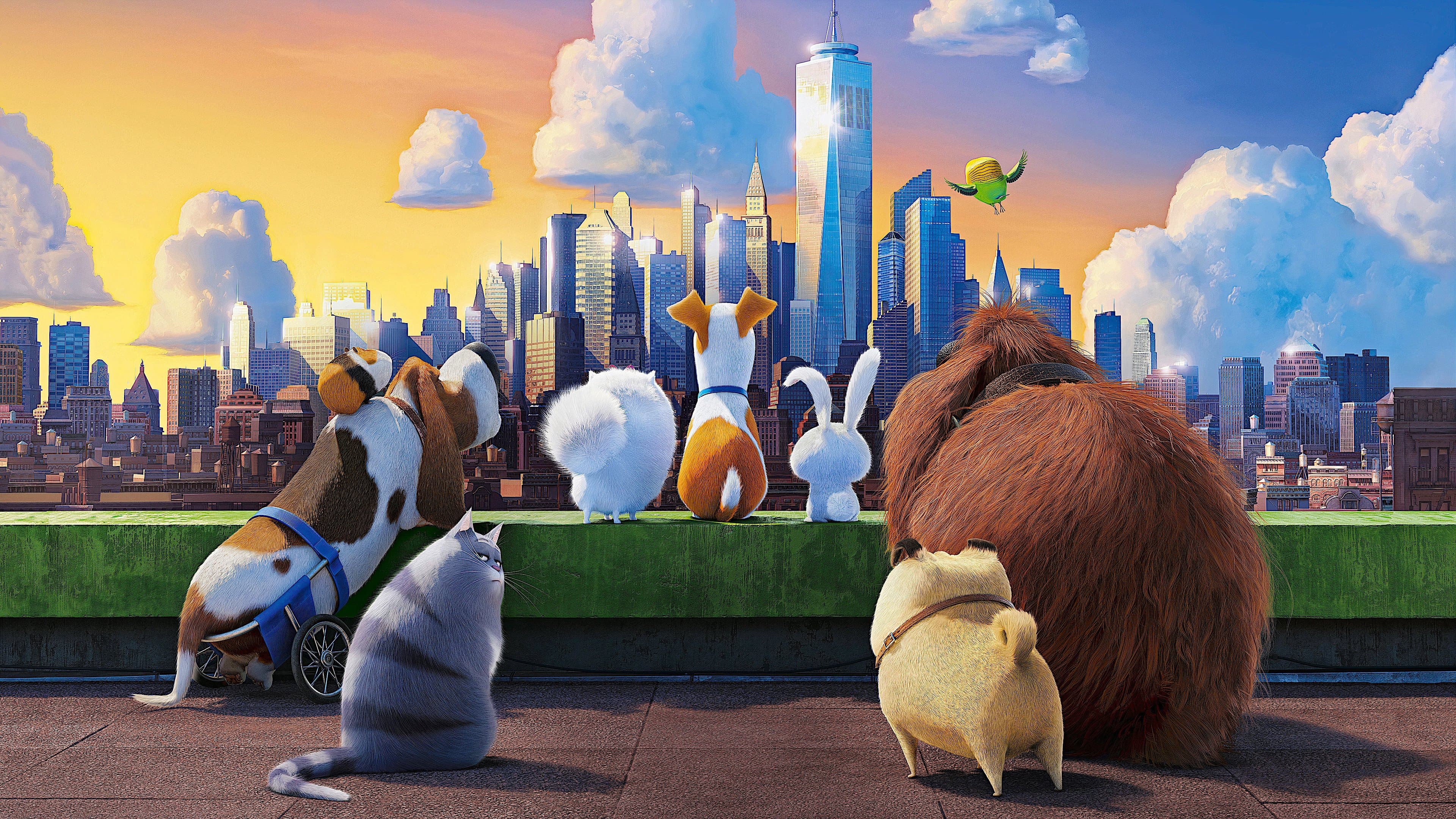 The Secret Life of Pets backdrop