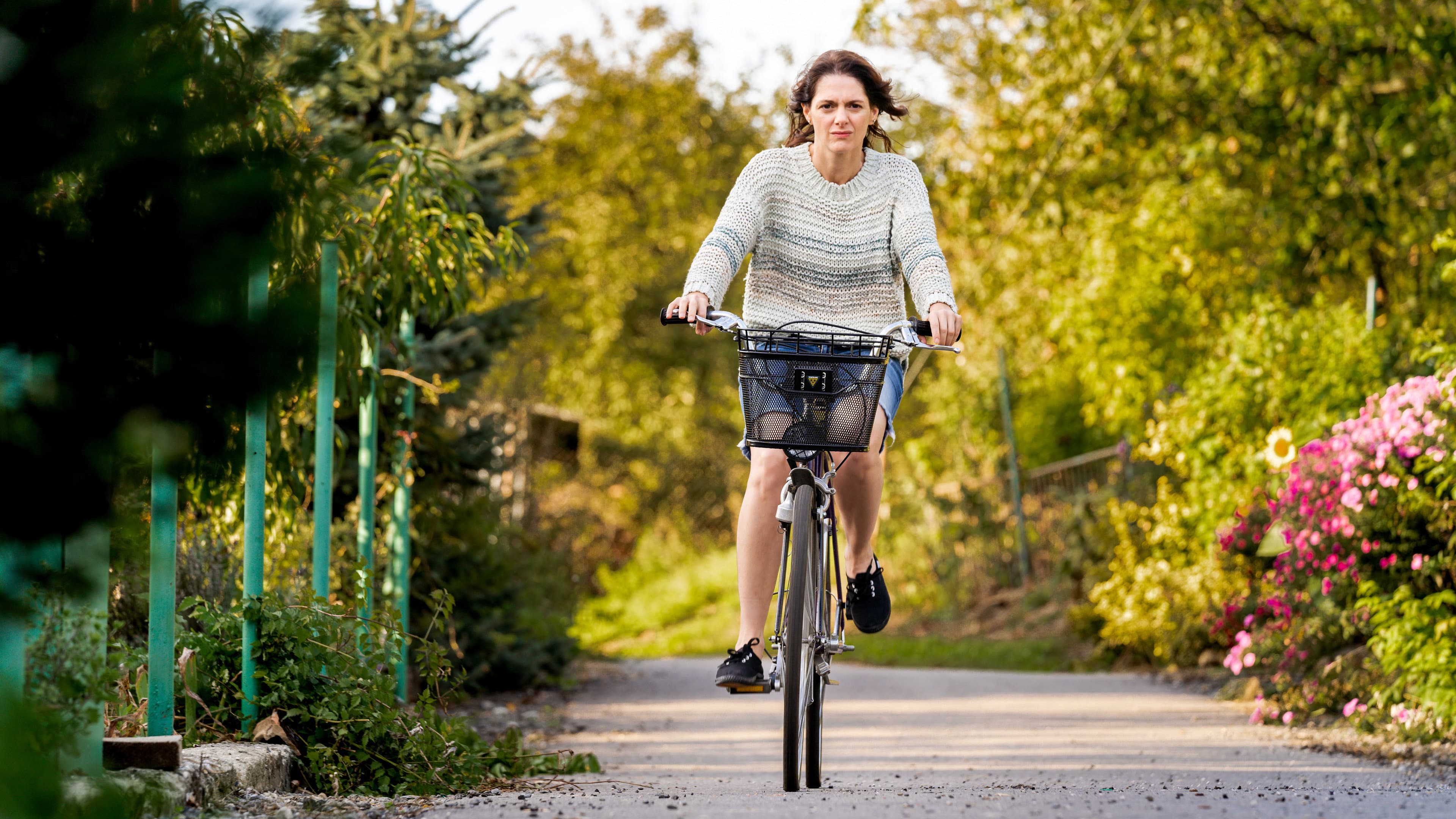Silent Companion backdrop